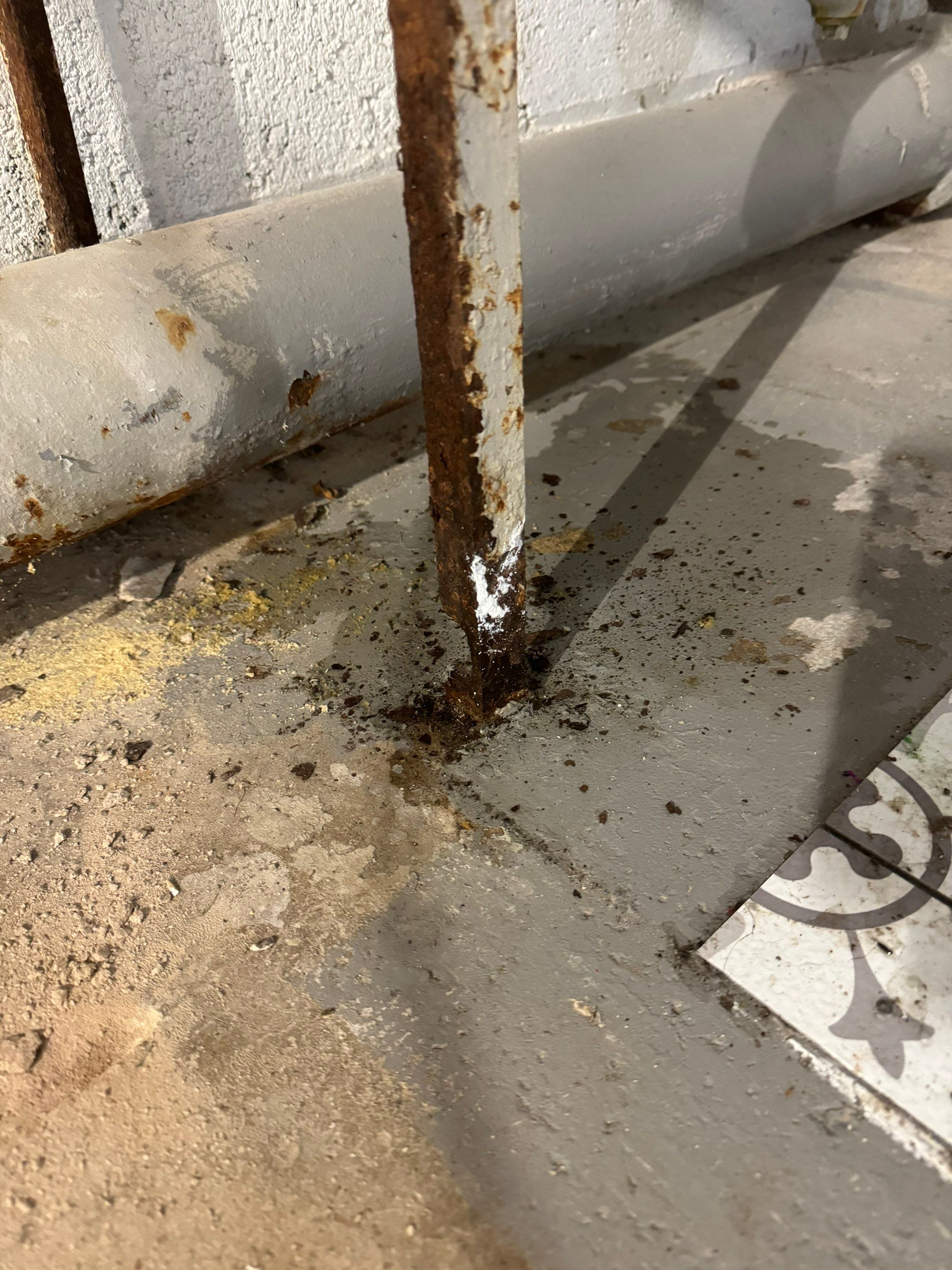 Interior French Drain Boonton NJ by Pure Service Pro, LLC 