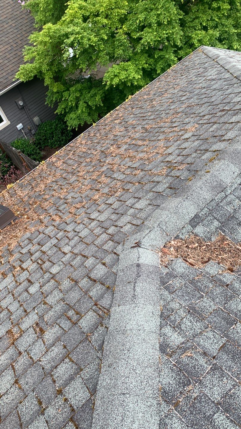 Softwashed in many Years back, and organic regrowth significant by DawnSky LLC