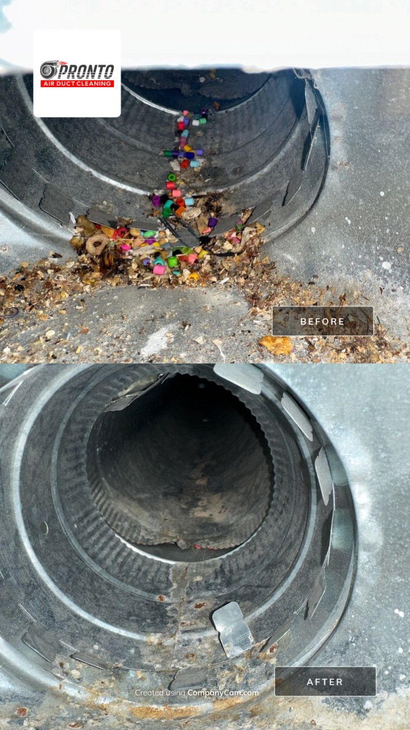 Air duct cleaning and Dryer Vent Cleaning by Pronto Air Duct Cleaning