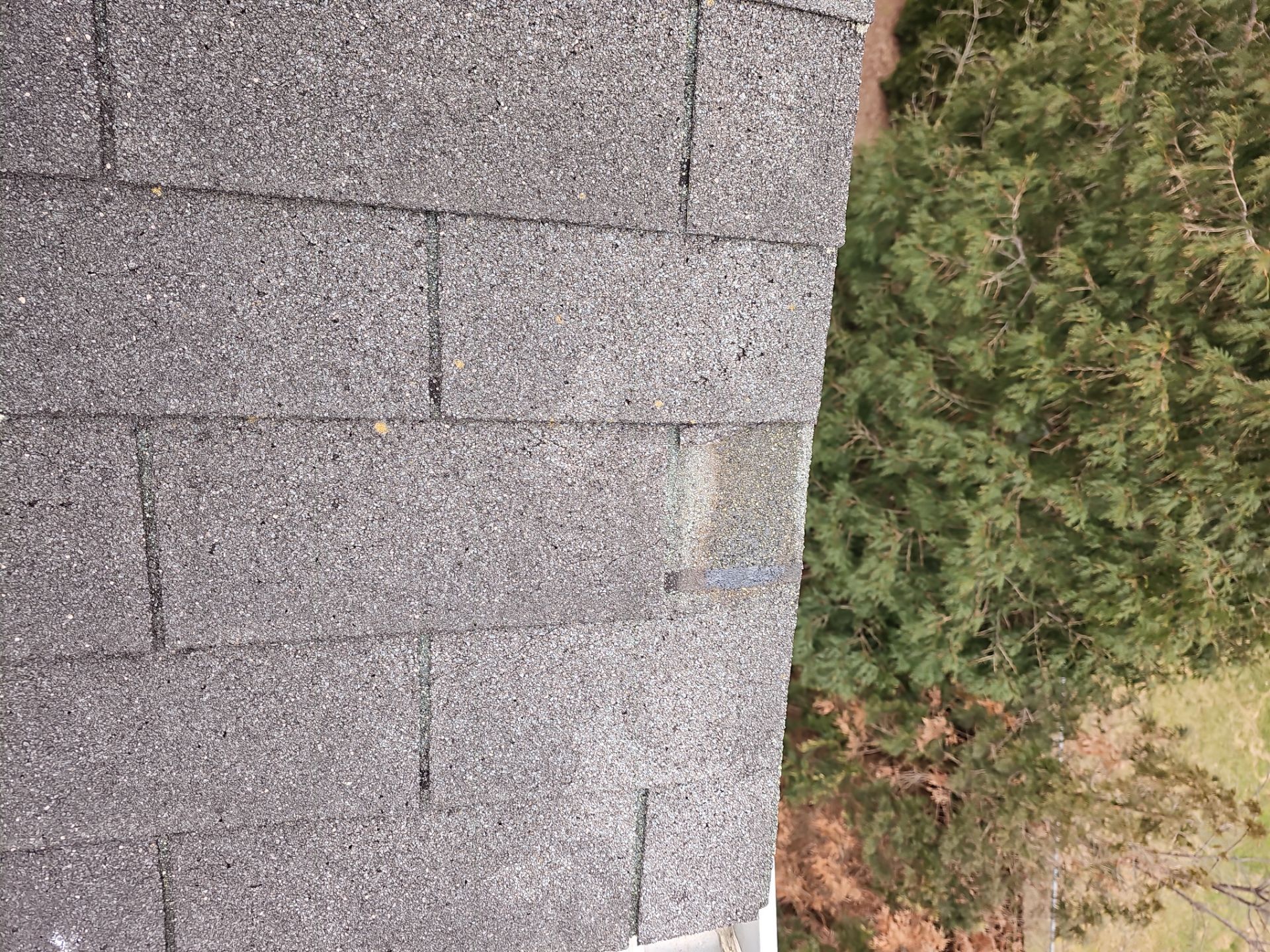 Roof Replacement - Charcoal Black by Winchester Roofing