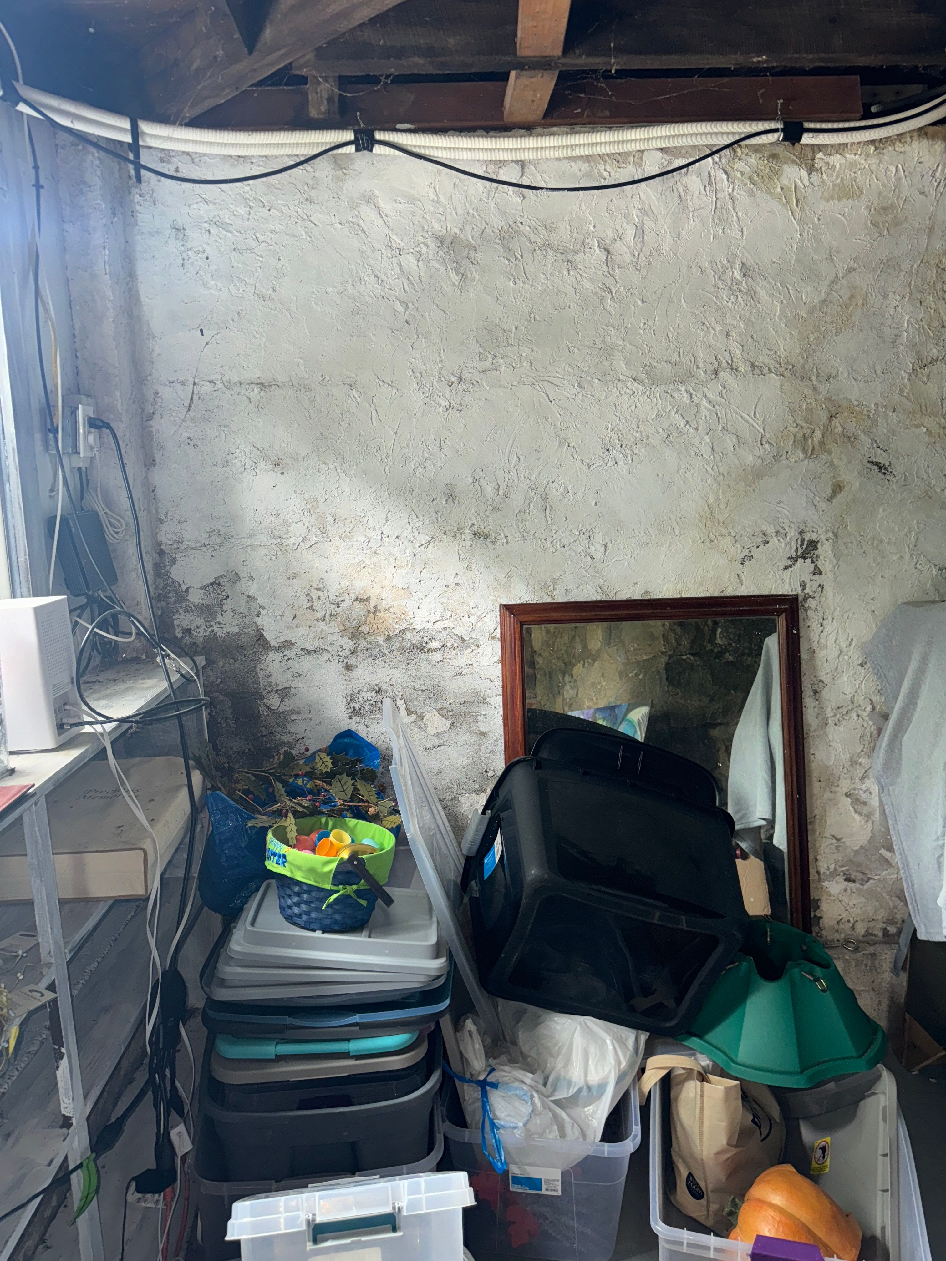 Interior French Drain & Mold Remediation in Mt Tabor NJ by Pure Service Pro, LLC 