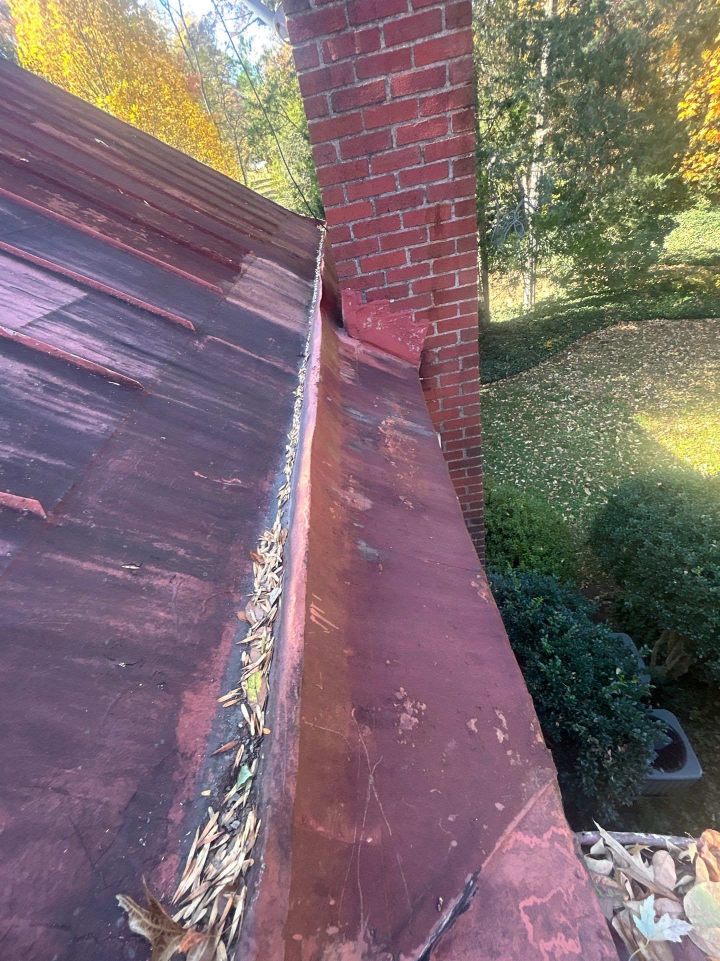 Alexandra: Residential Metal Roofing  by RM Banning, Inc.