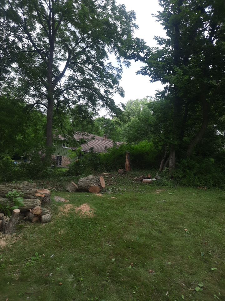 Tree Removal using Tree Removal by Mike Jones & Sons Tree Service LLC 
