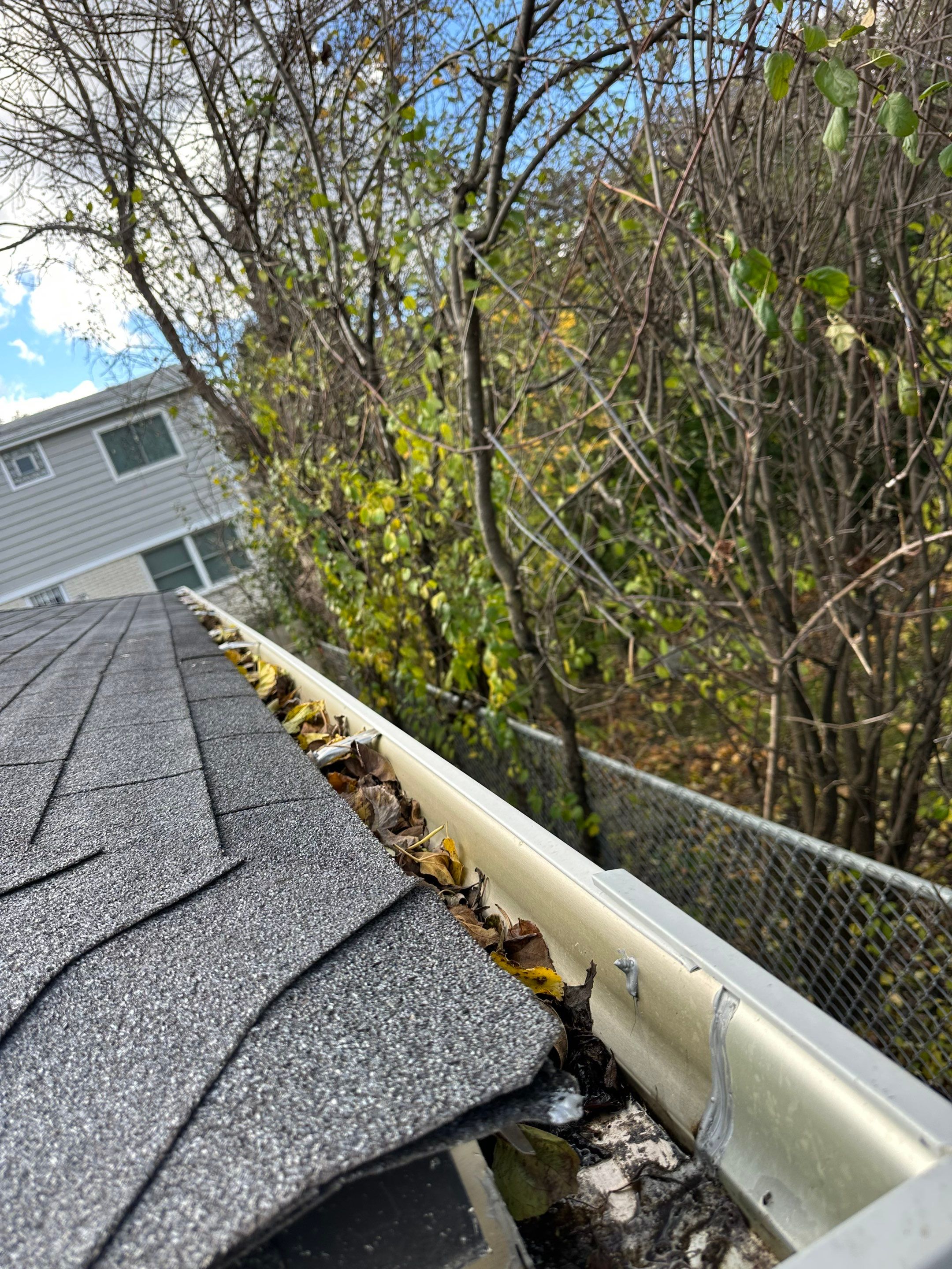 Gutter cleaning and downspout unclog by Hanging Light Club LLC