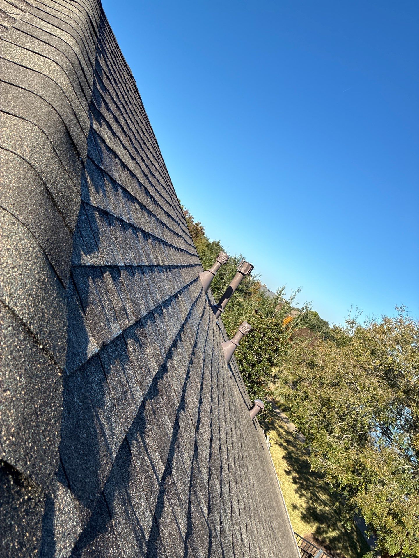 LYNA L by Boss Hogg Roofing
