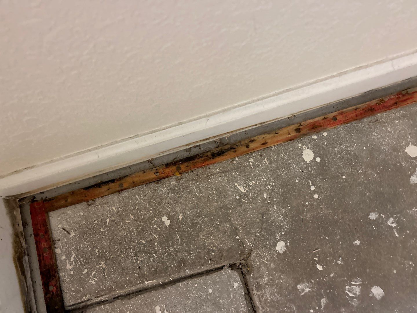 Mold Damage Project in Thornton by Accountable Home Services