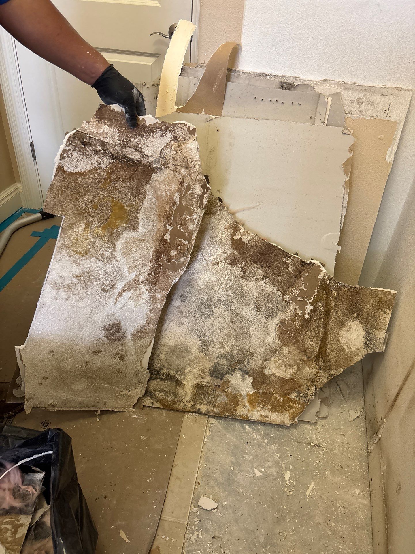 Mold Damage Inspection & Removal In Parrish, FL by Ampm Restoration Services