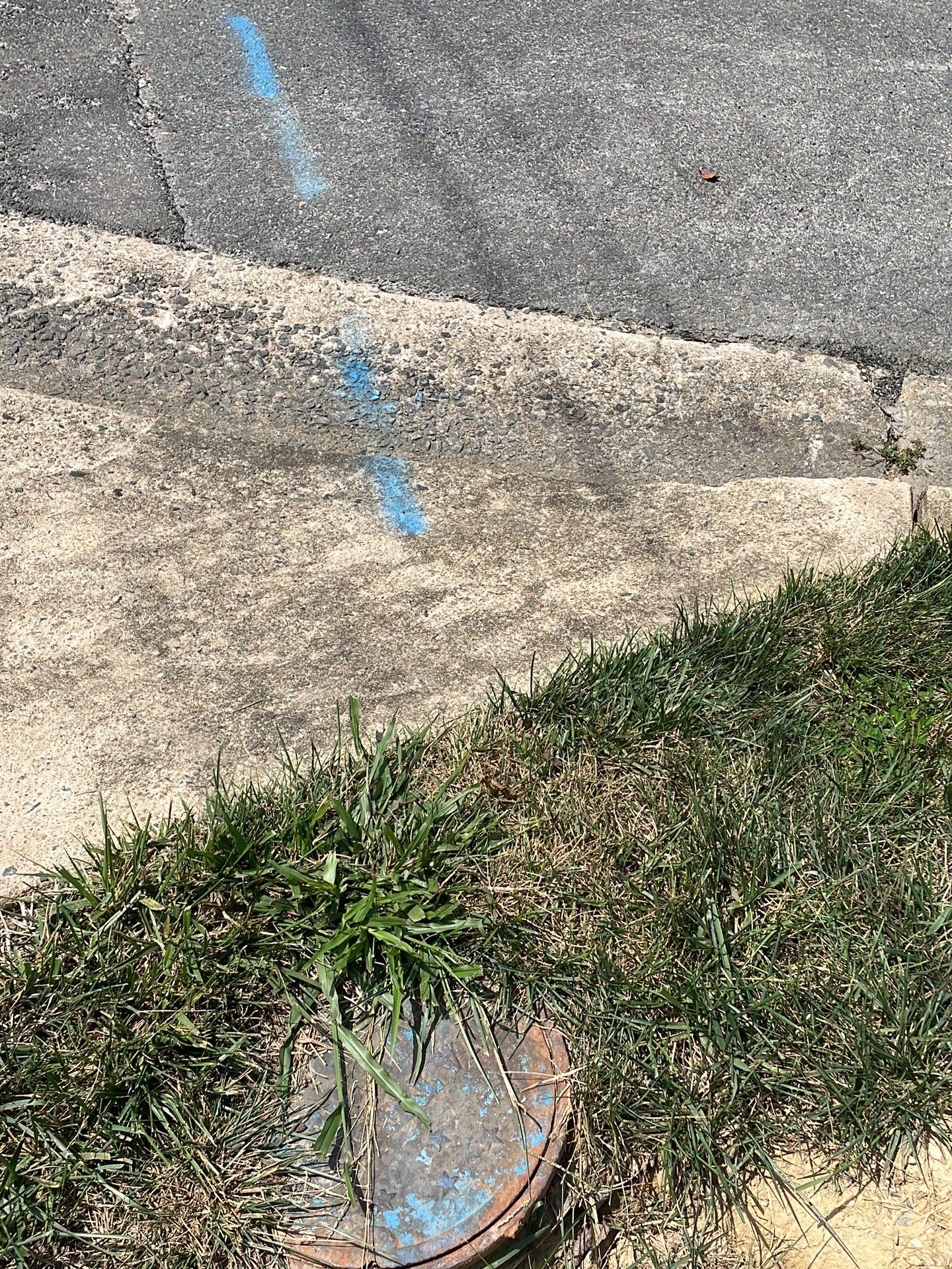 New walkway with stairs and a new front porch by Fairfax Contractors, LLC