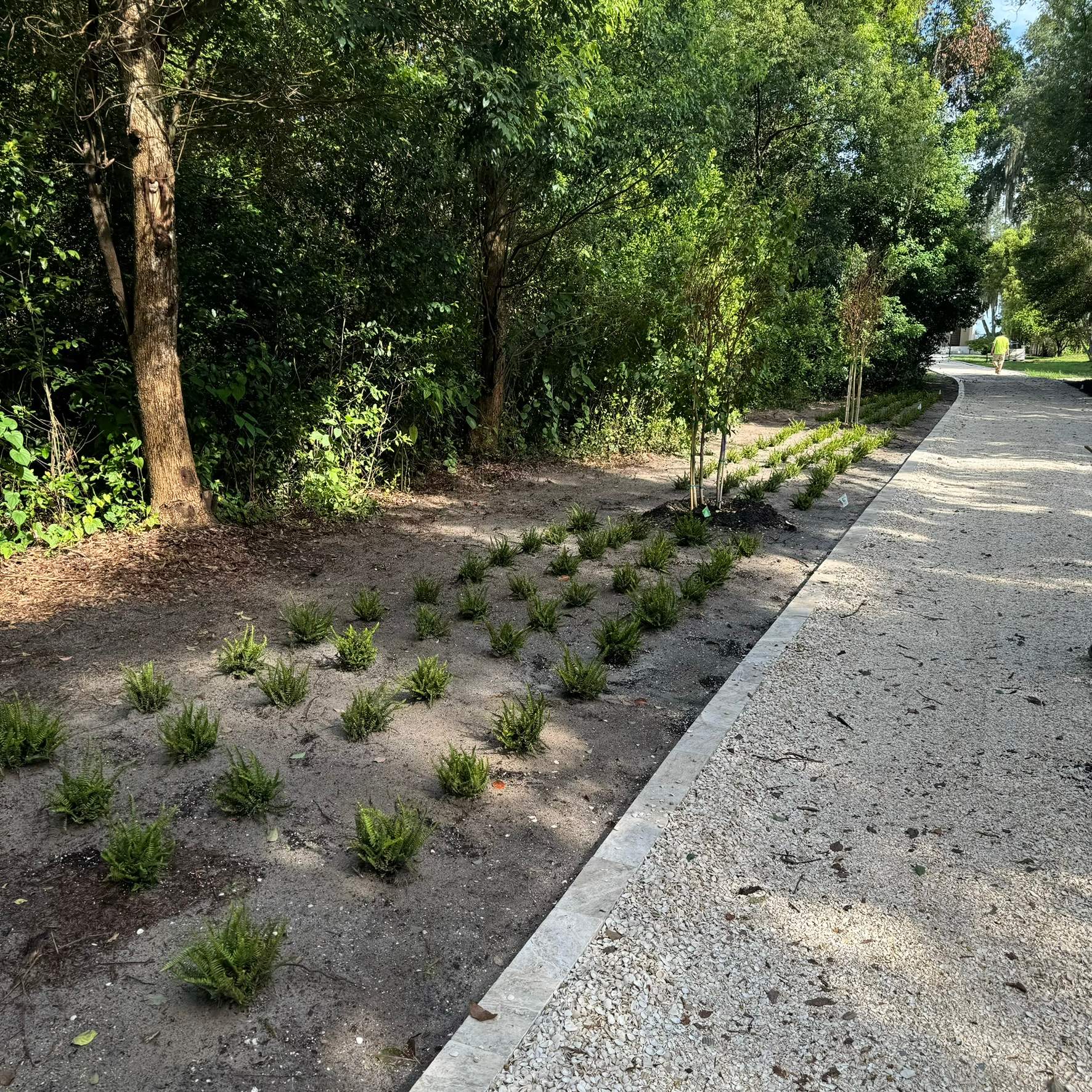 Landscape Install | Residence by ProGreen Services