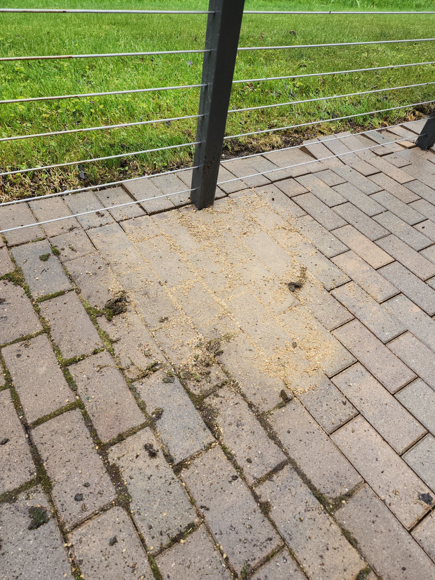 Brick paver repair, cleaning, sealing and poly sanding by Northern Power Washing LLC.