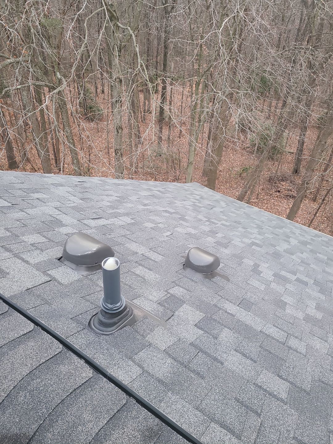 Alexandria CertainTeed Landmark Pro Roof in Max Def Pewterwood  by RM Banning, Inc.