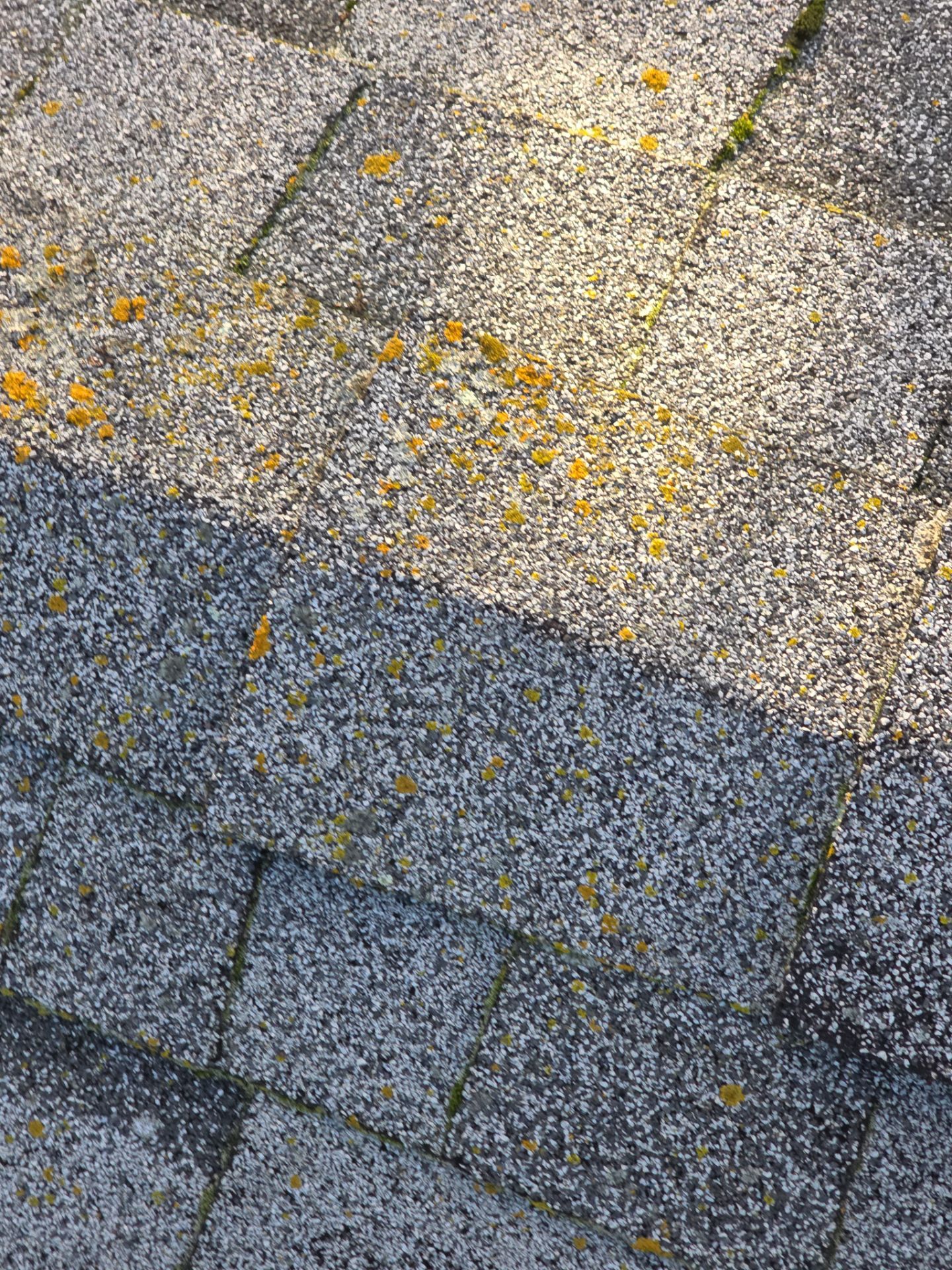 Roof Rejuvenation using Roof Maxx Treatment by Roof Maxx of Folsom