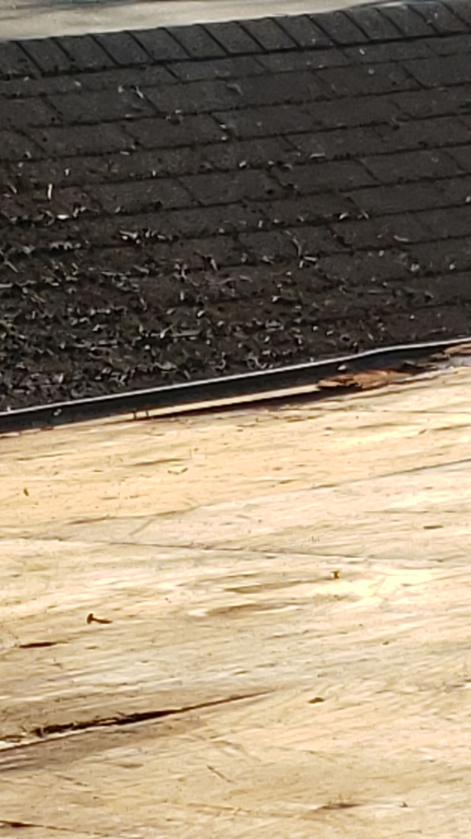 CT LANDMARK 30 LIFETIME METRIC PEWTER , DRIP EDGE BLACK  by Eagle Eye Roofing