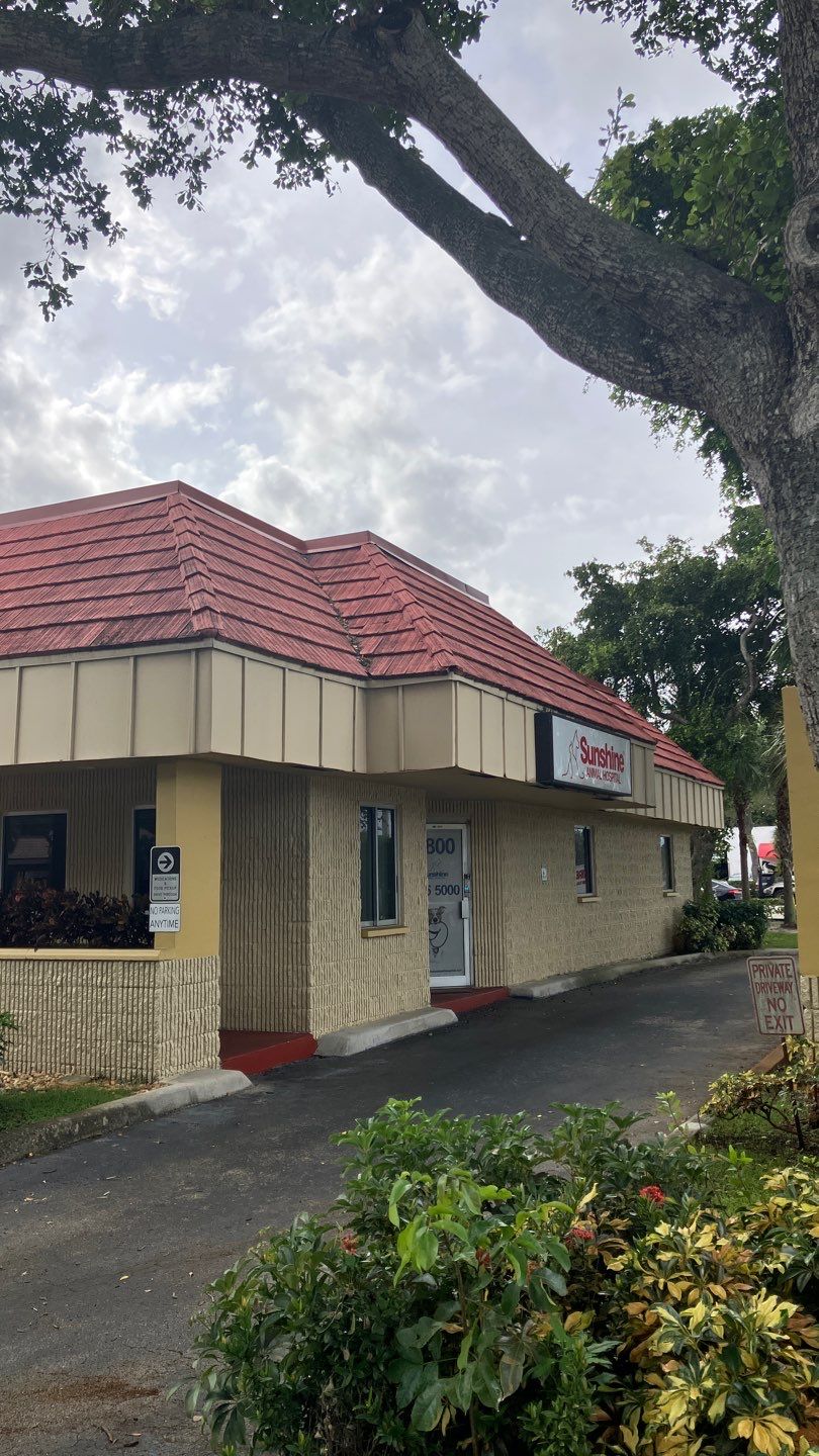 BYA PLAZA by Souffront Construction & Engineering