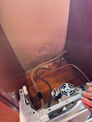 Mold Remediation in Muskego