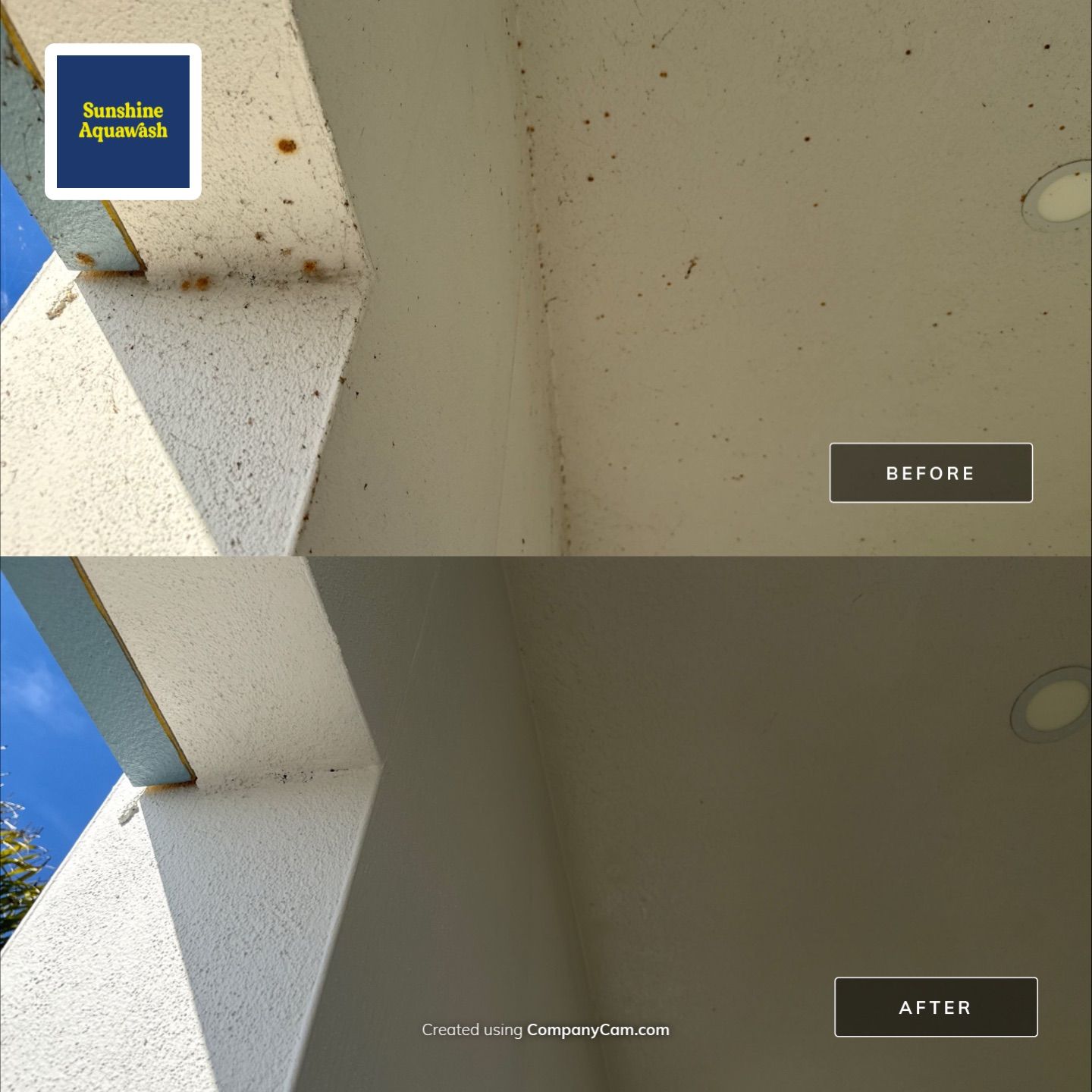 Spider Web Removal, House Wash & Lanai Cleaning in Apollo Beach, FL by Sunshine AquaWash