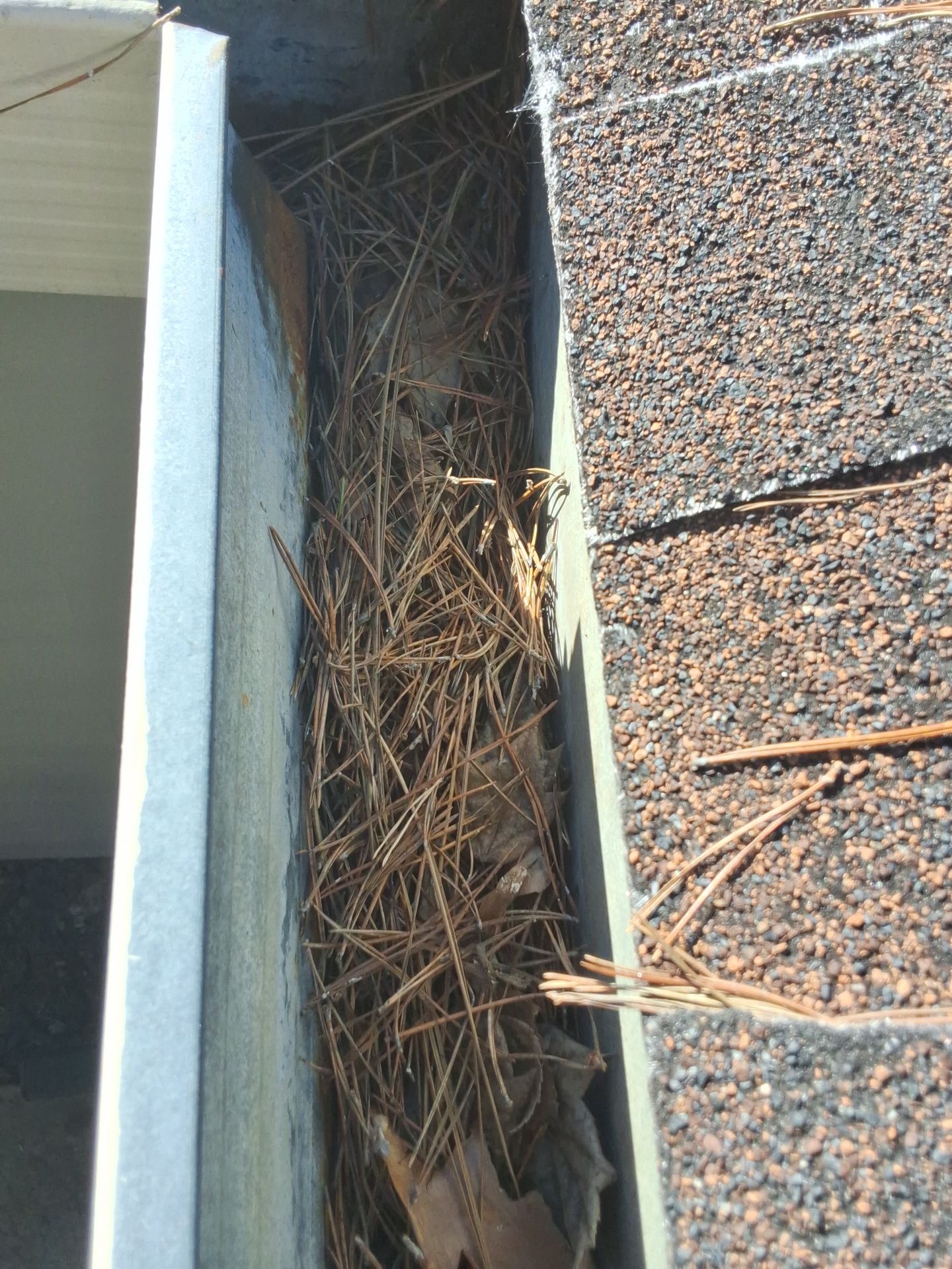 Roof Maxx of Grass Valley featured photo.