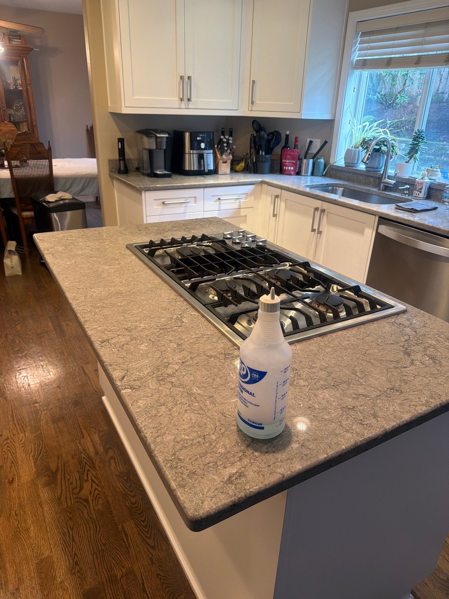 House cleaner Project in Tigard by Cloud 9 Professional Cleaning Services