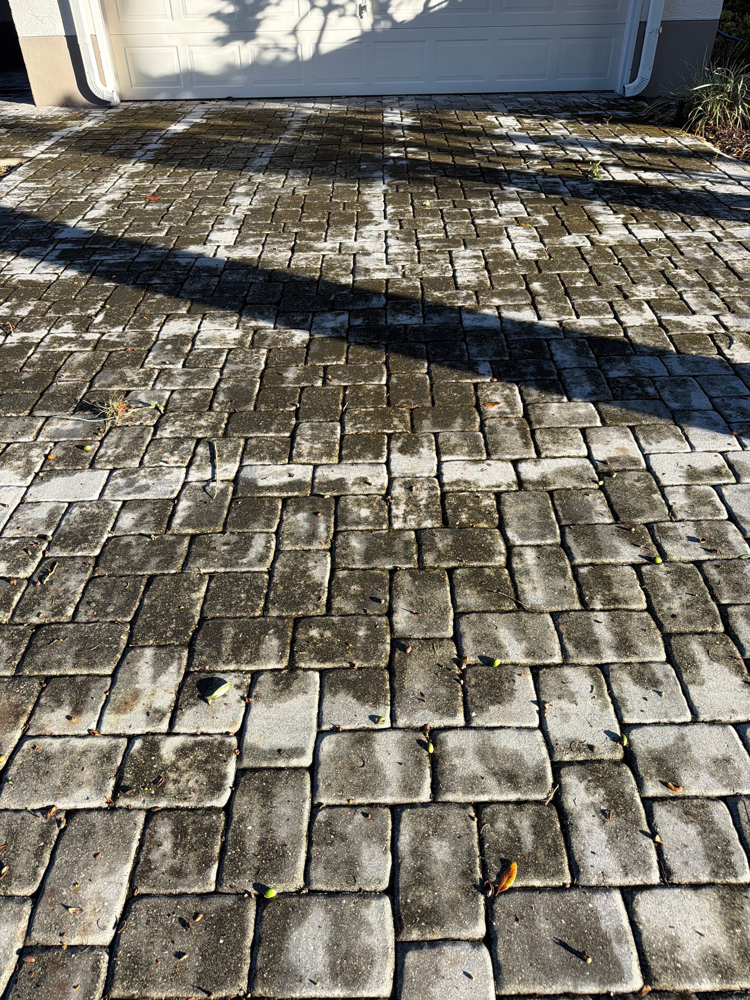Paver Driveway and Walkway Restoration in Sun City Center by Supreme Paver Experts