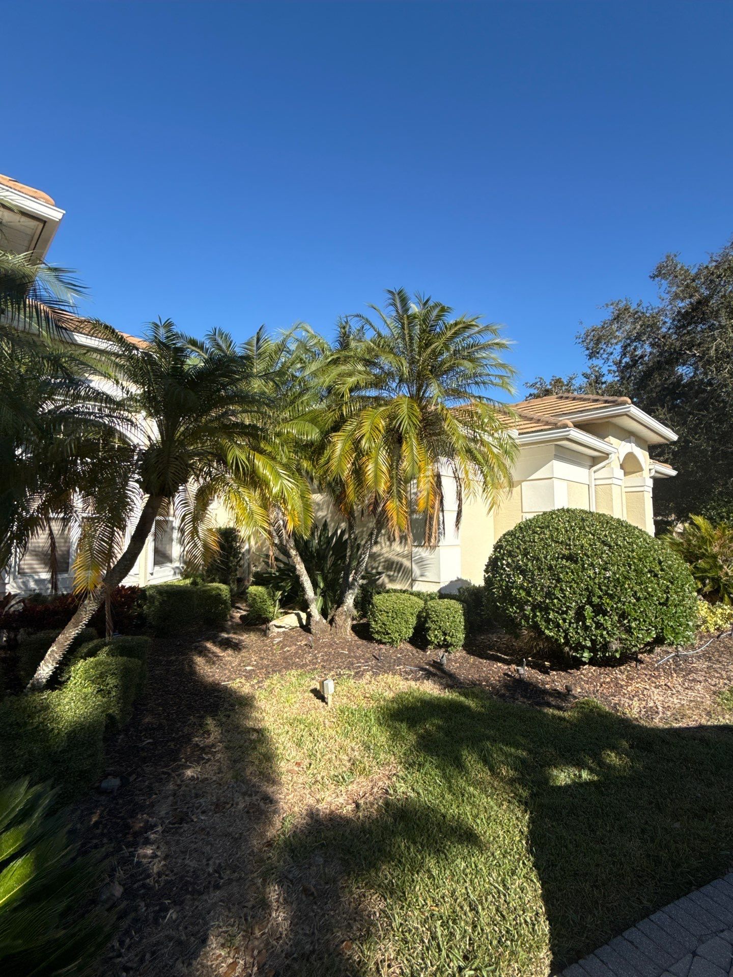Clean Gutters Entire House and reseal corners in Sarasota FL by Gutter Professors