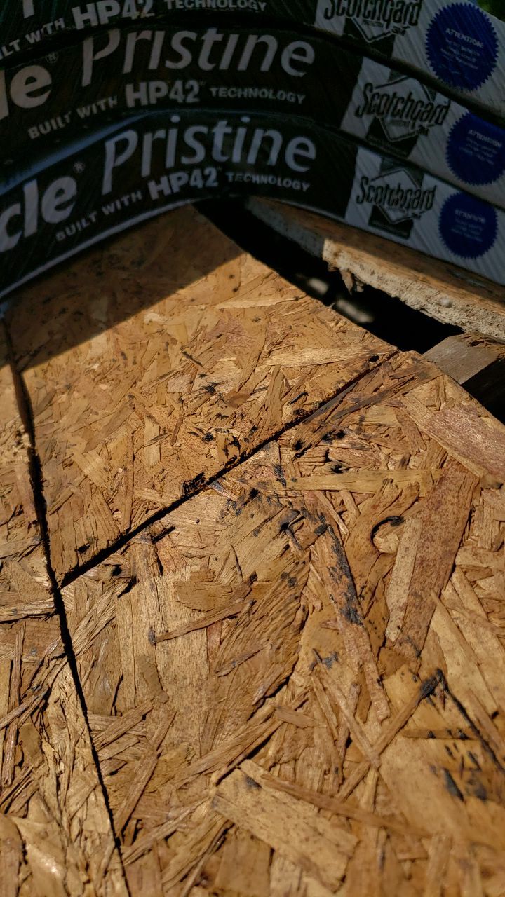 Brand: Atlas Pinnacle Color: Pristine Scotchguard Hickory Drip: Royal Brown by Eagle Eye Roofing