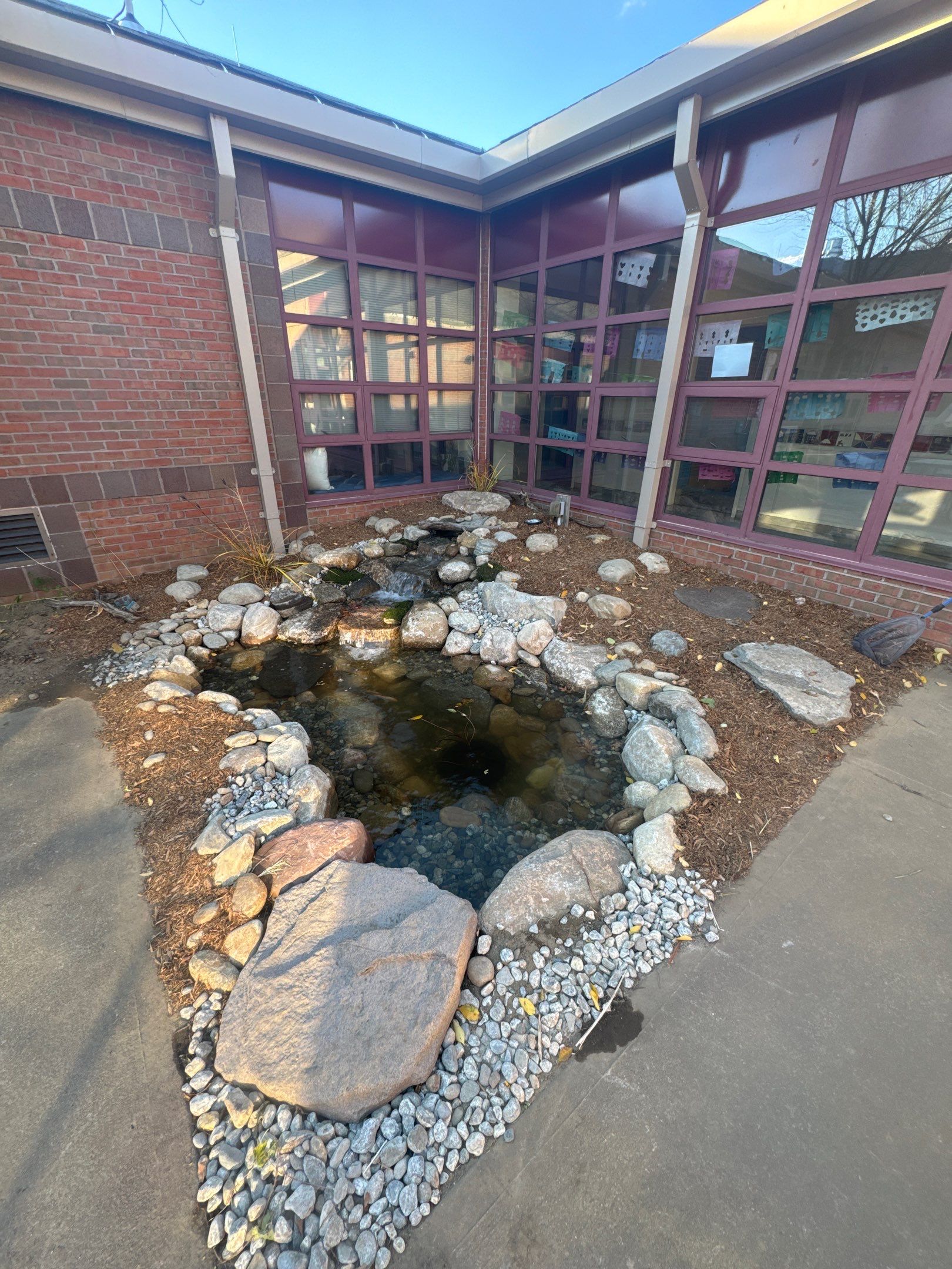 Deerfield Elementary School Koi Pond Build by Wicked Water Gardens