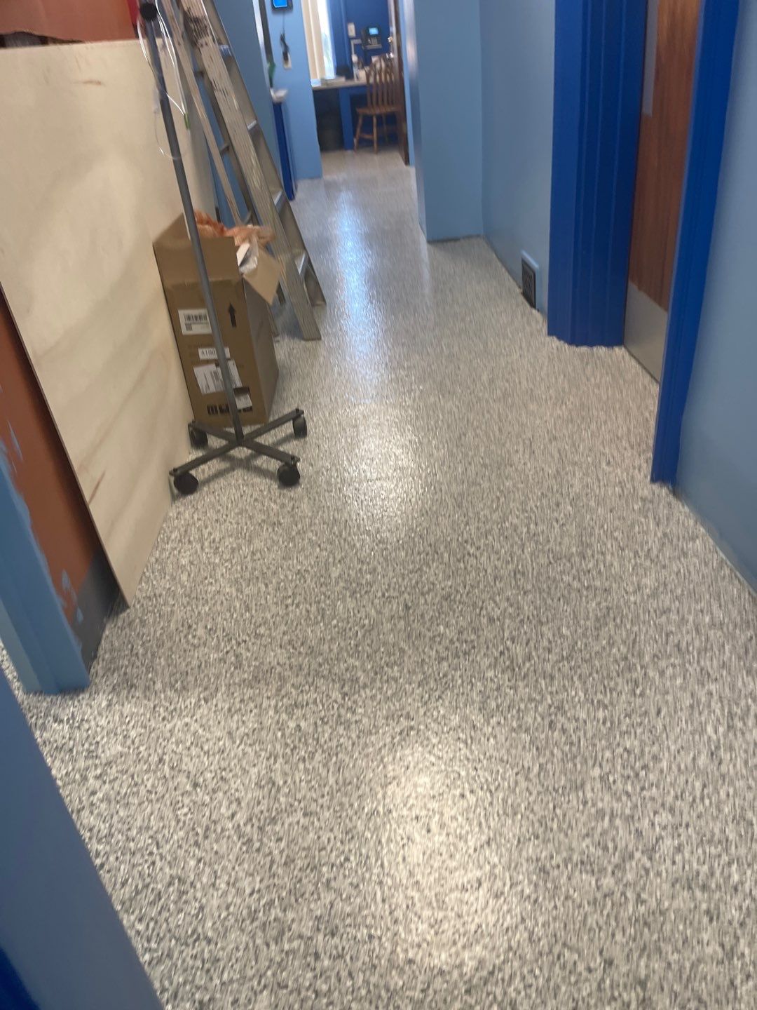 Cat Hospital Project in Pittsburgh by Floors in a Day, Inc