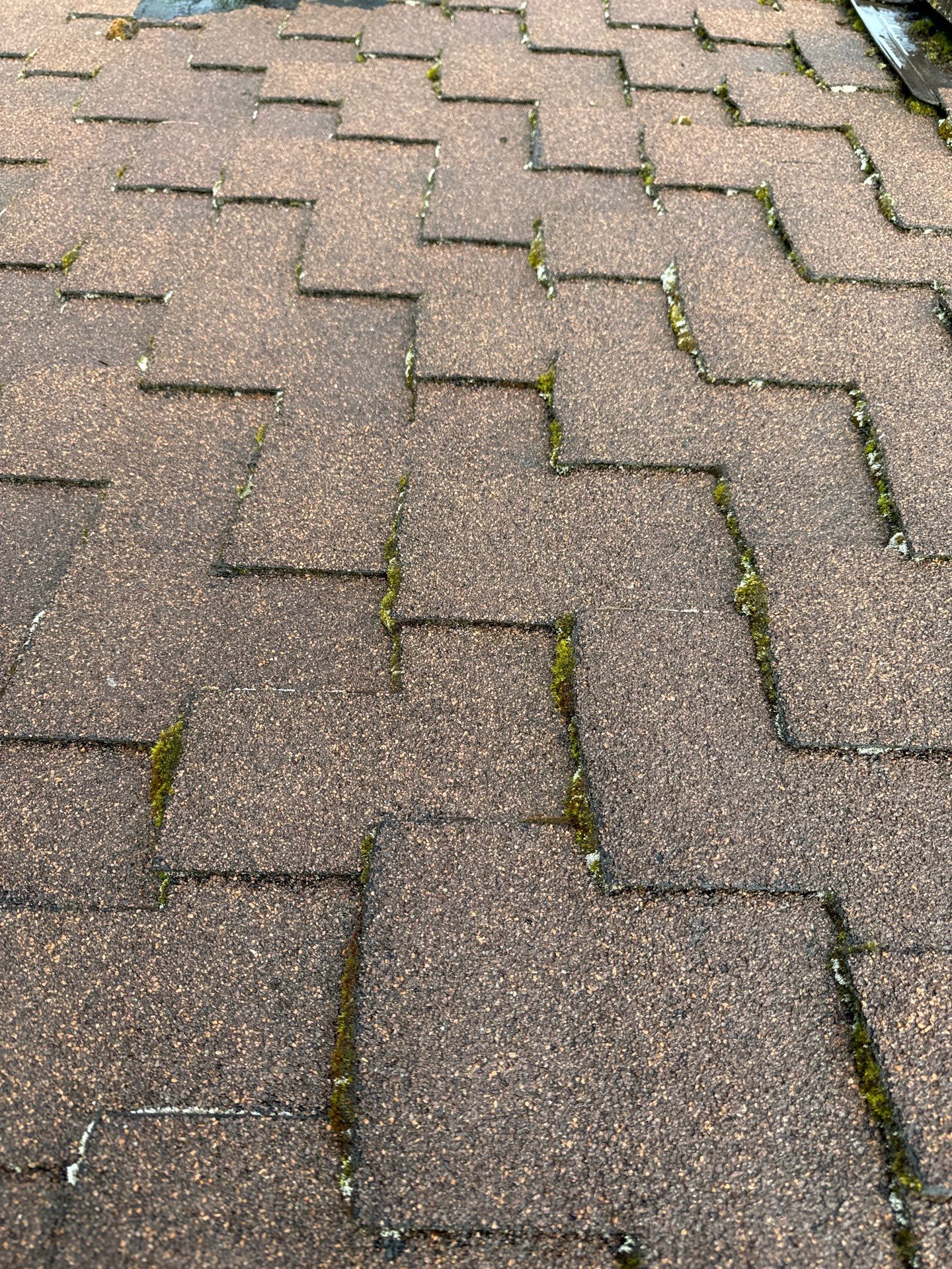 Project in Seattle by Connolly Construction Company