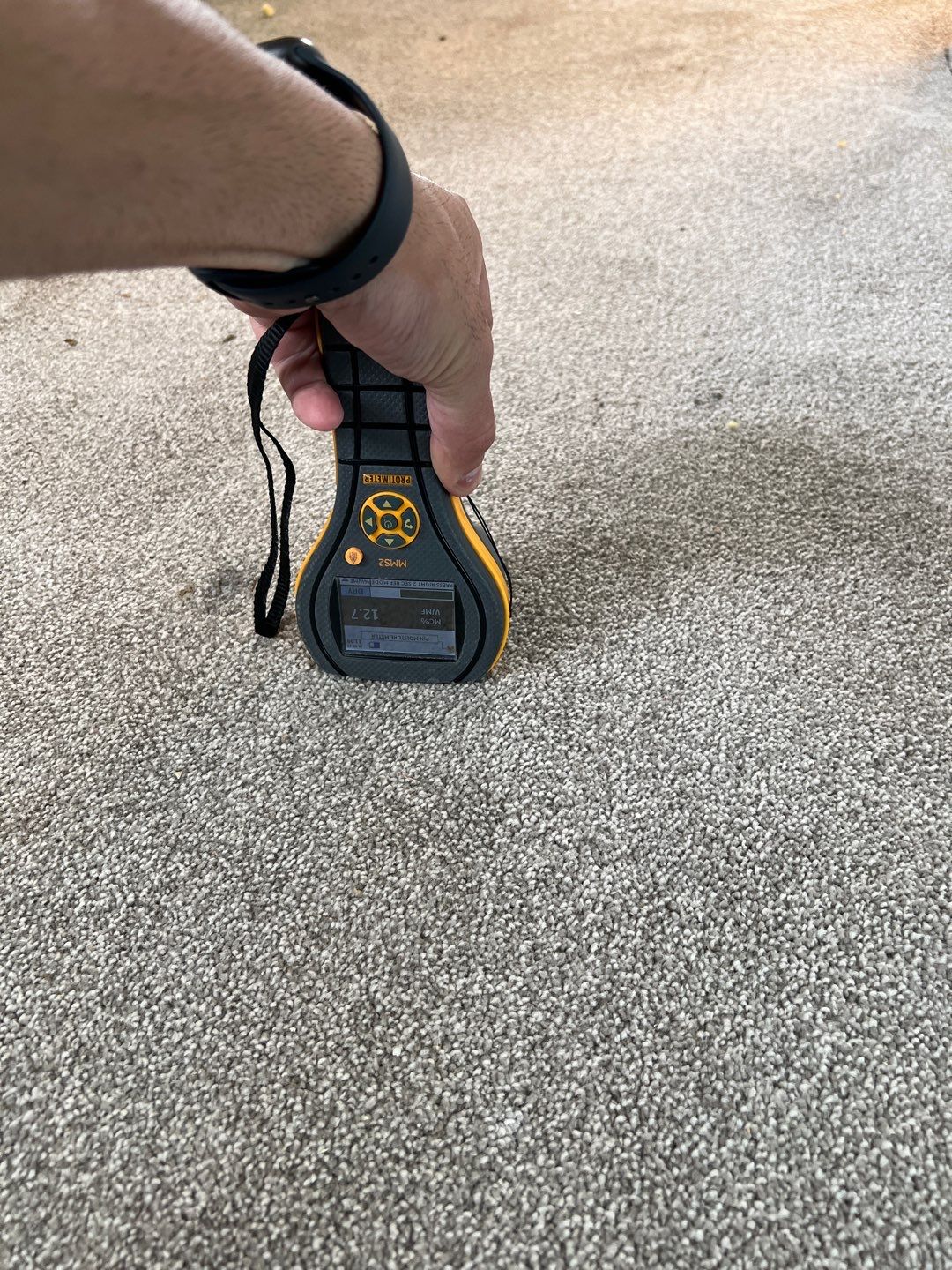 Project in Novi by EzDry Water Mitigation & Property Restoration