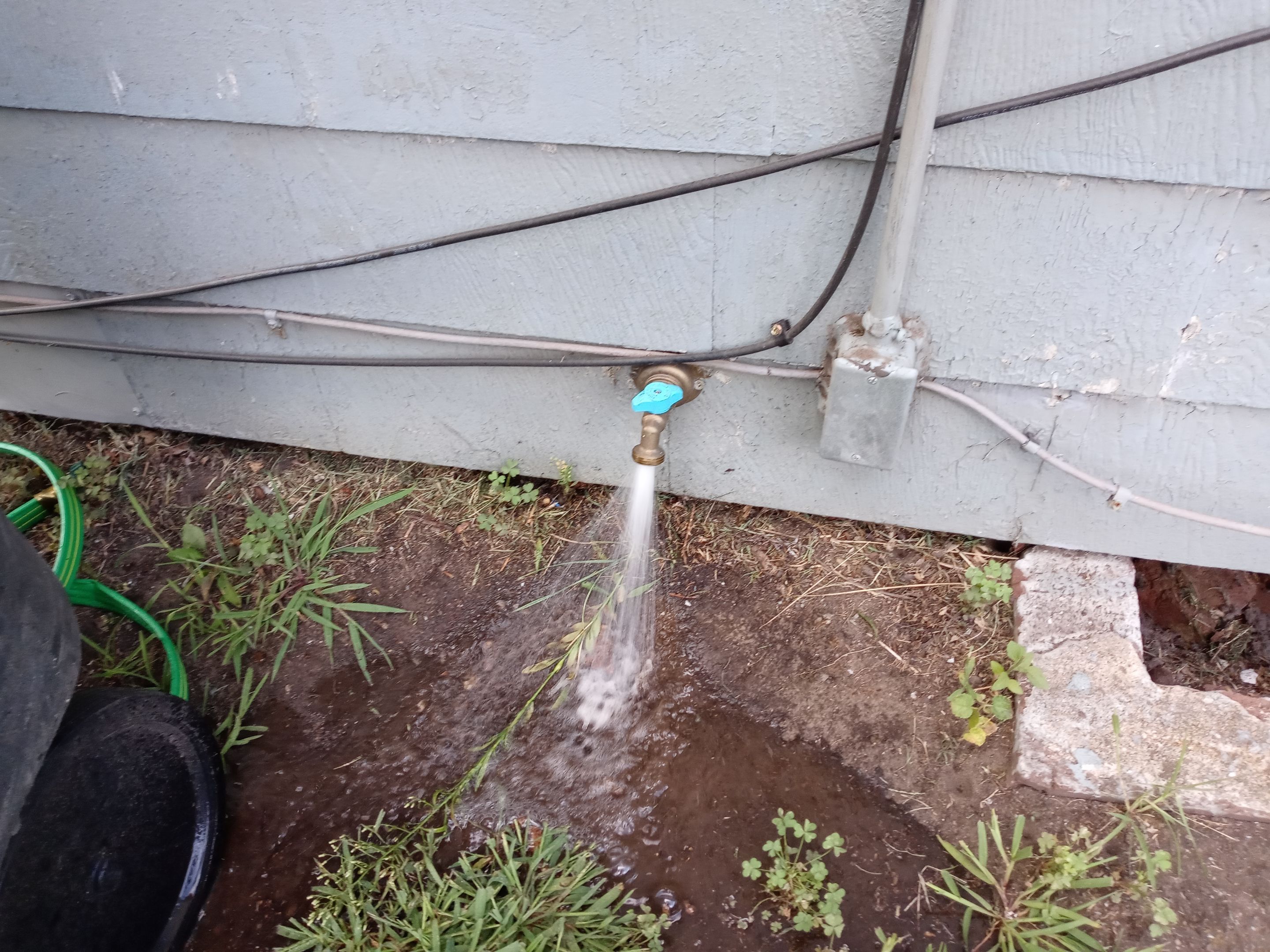 Tree Removal using Tree Removal by Mike Jones & Sons Tree Service LLC 