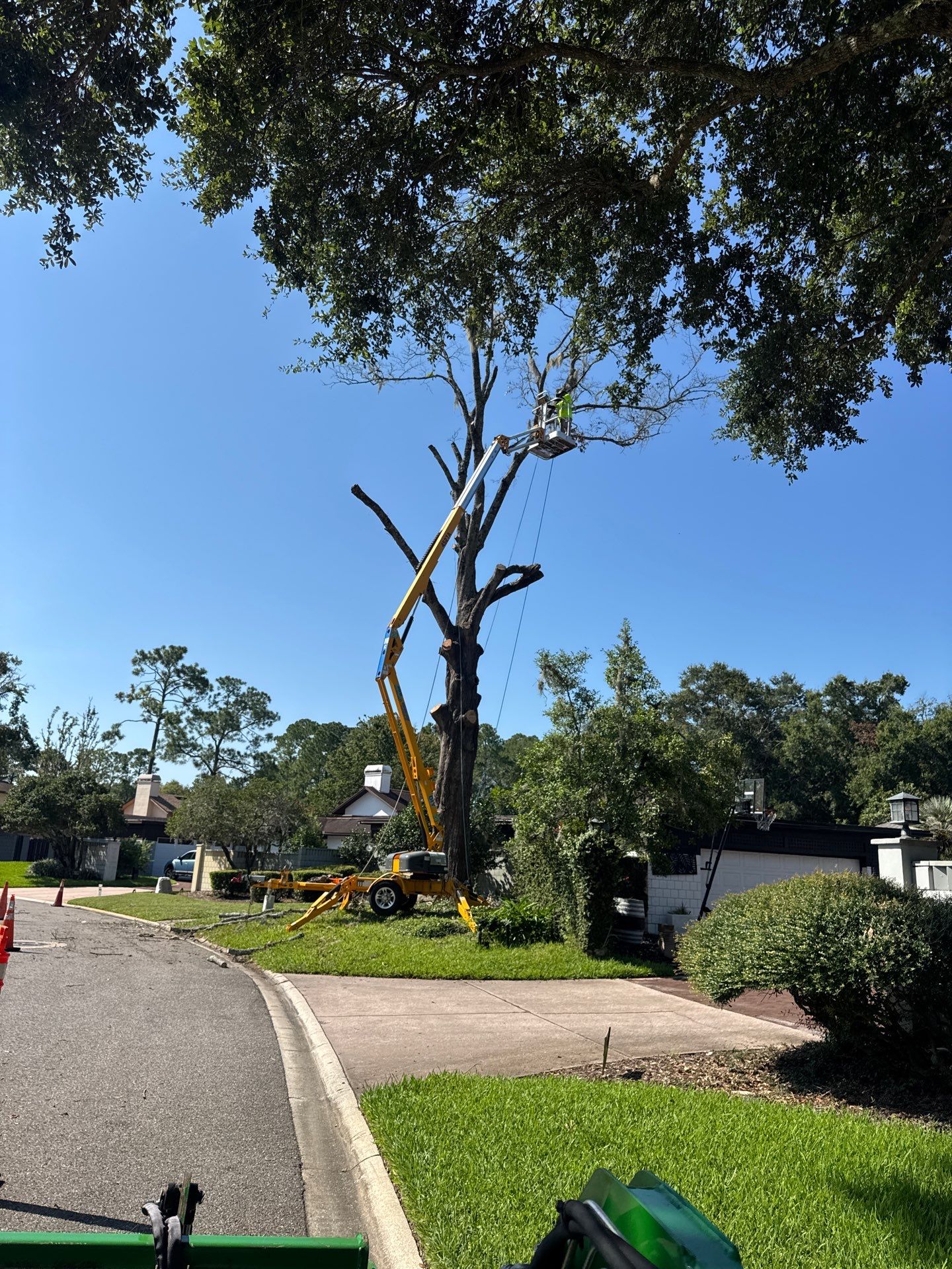 Deerwood Resident | Tree Removal by ProGreen Services