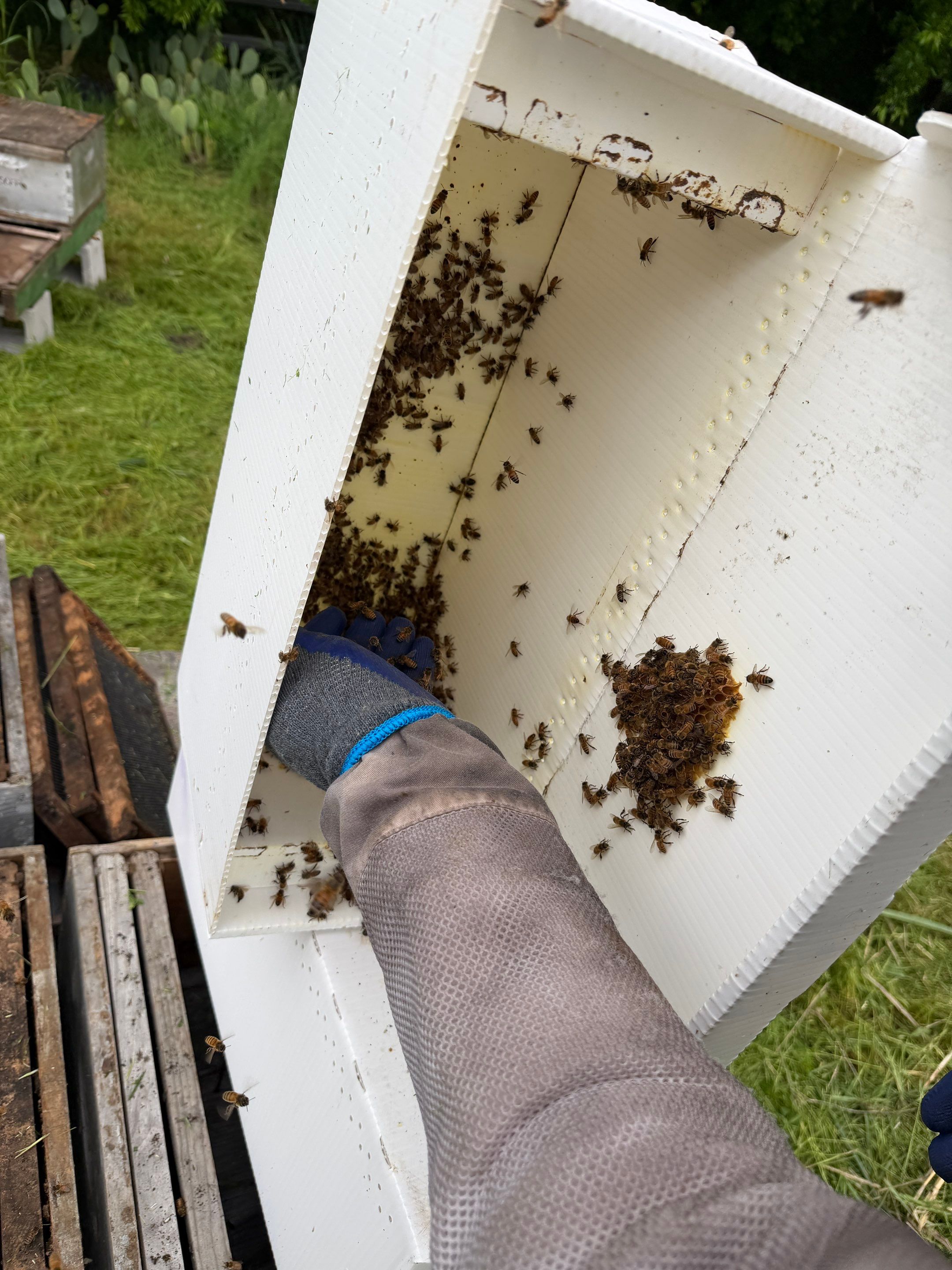 Special Use Valuation in McClendon-Chisolm by Rockwall Honey Bee Company