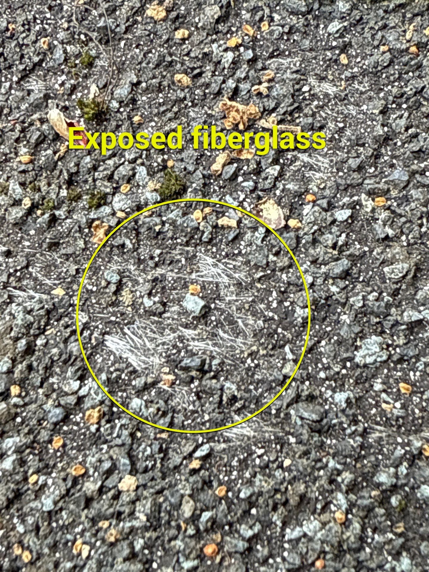 Project in Richmond by Roof Maxx of Midlothian