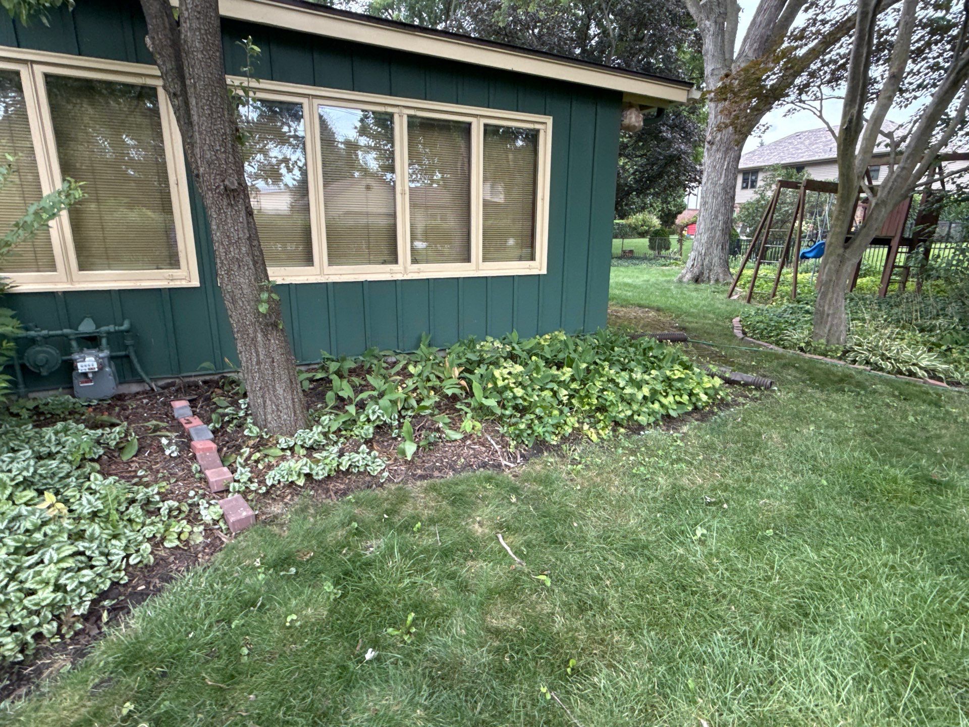 Madeline M. - Arlington Heights, IL by A&N