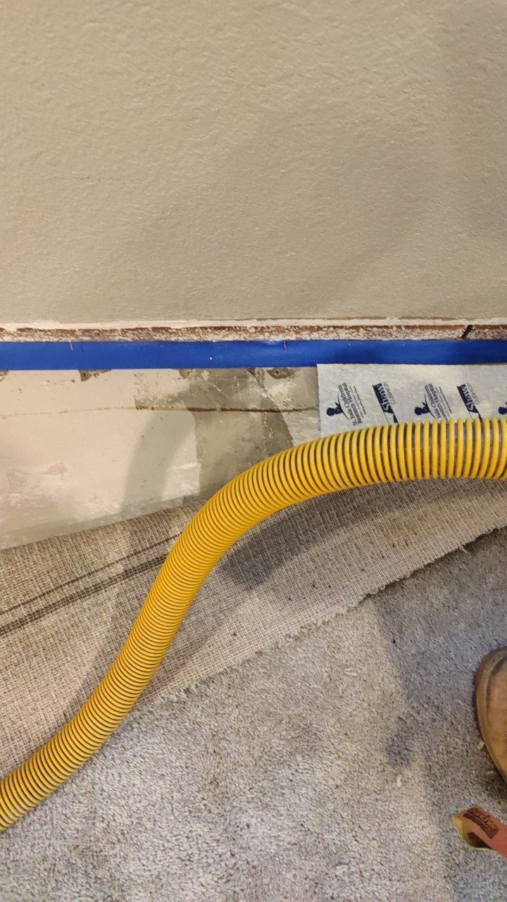 Mold Remediation  by Accountable Home Services