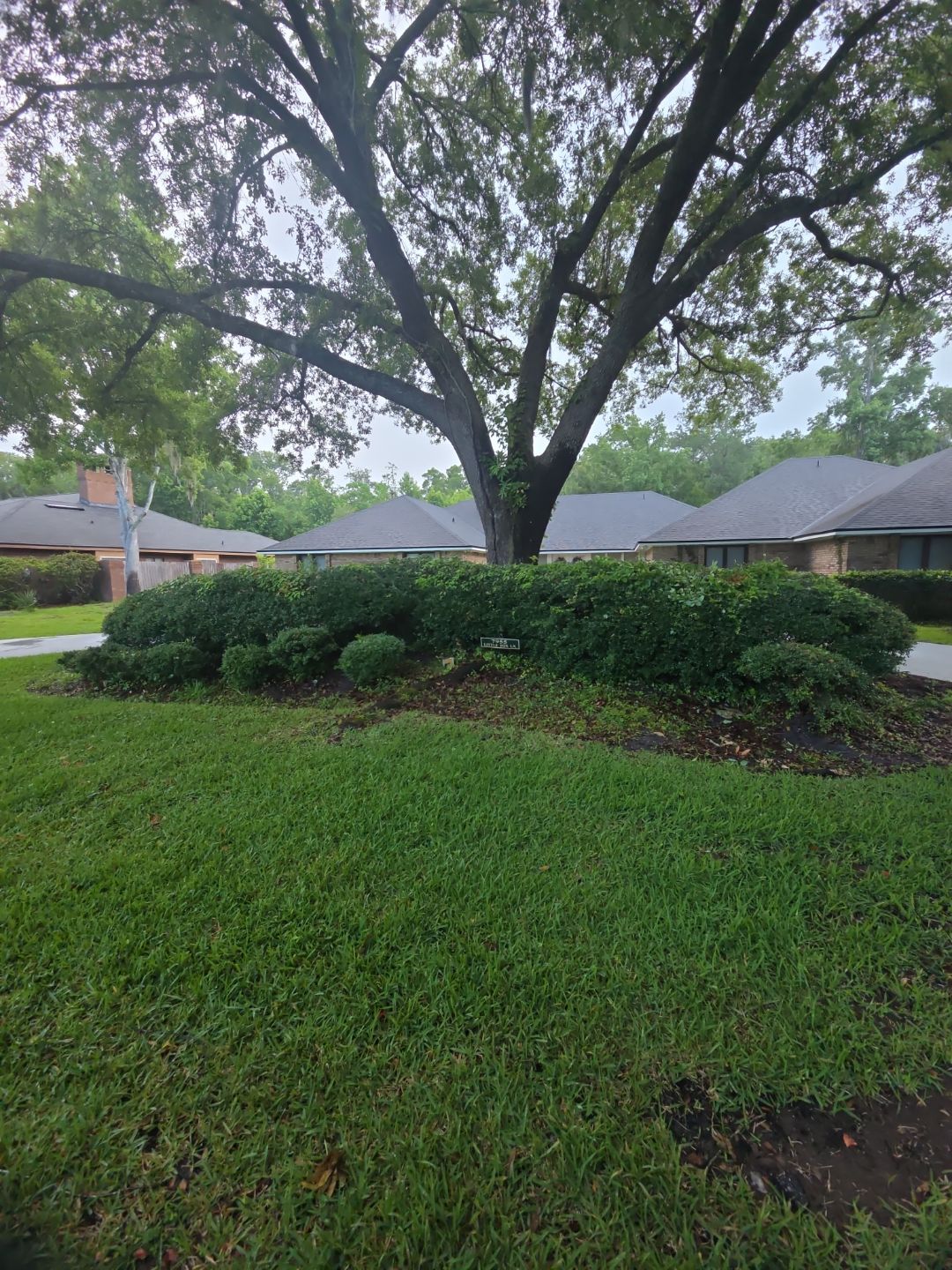 Deerwood Resident | Mulch Install & Clean-Up by ProGreen Services