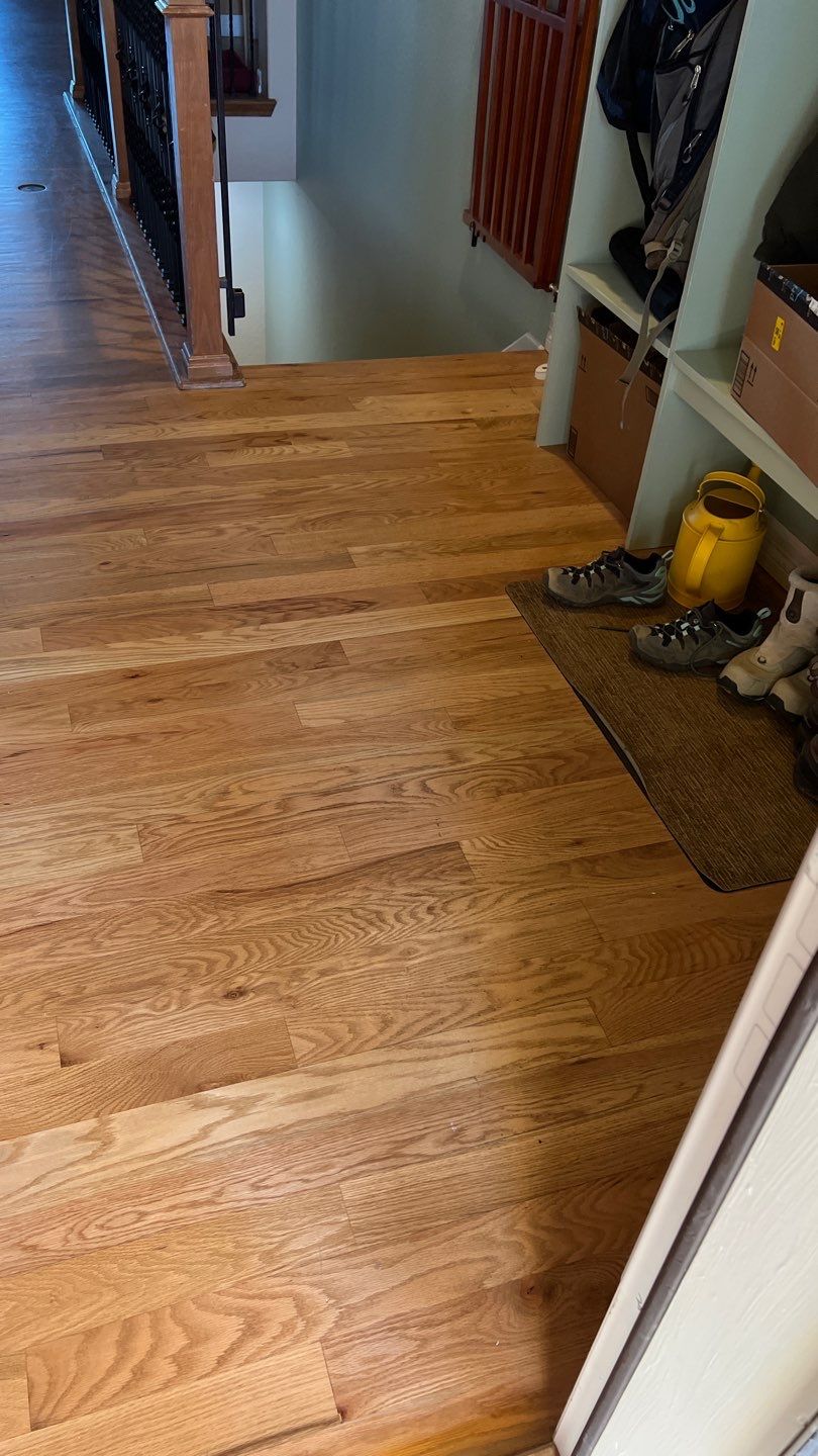 Mold Remediation by Accountable Home Services