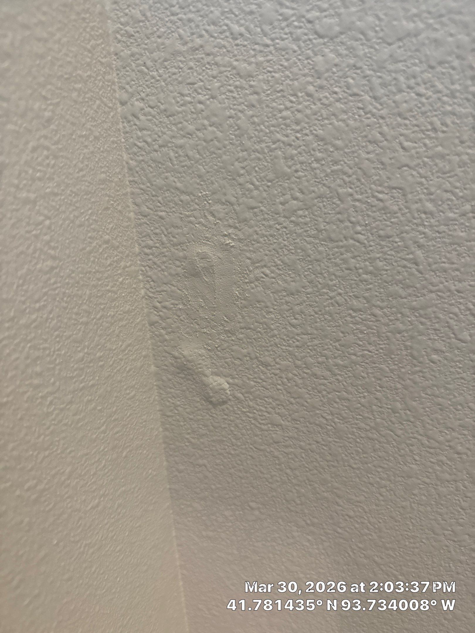 Repaint Walls Same Color  by Midwest Paint LLC