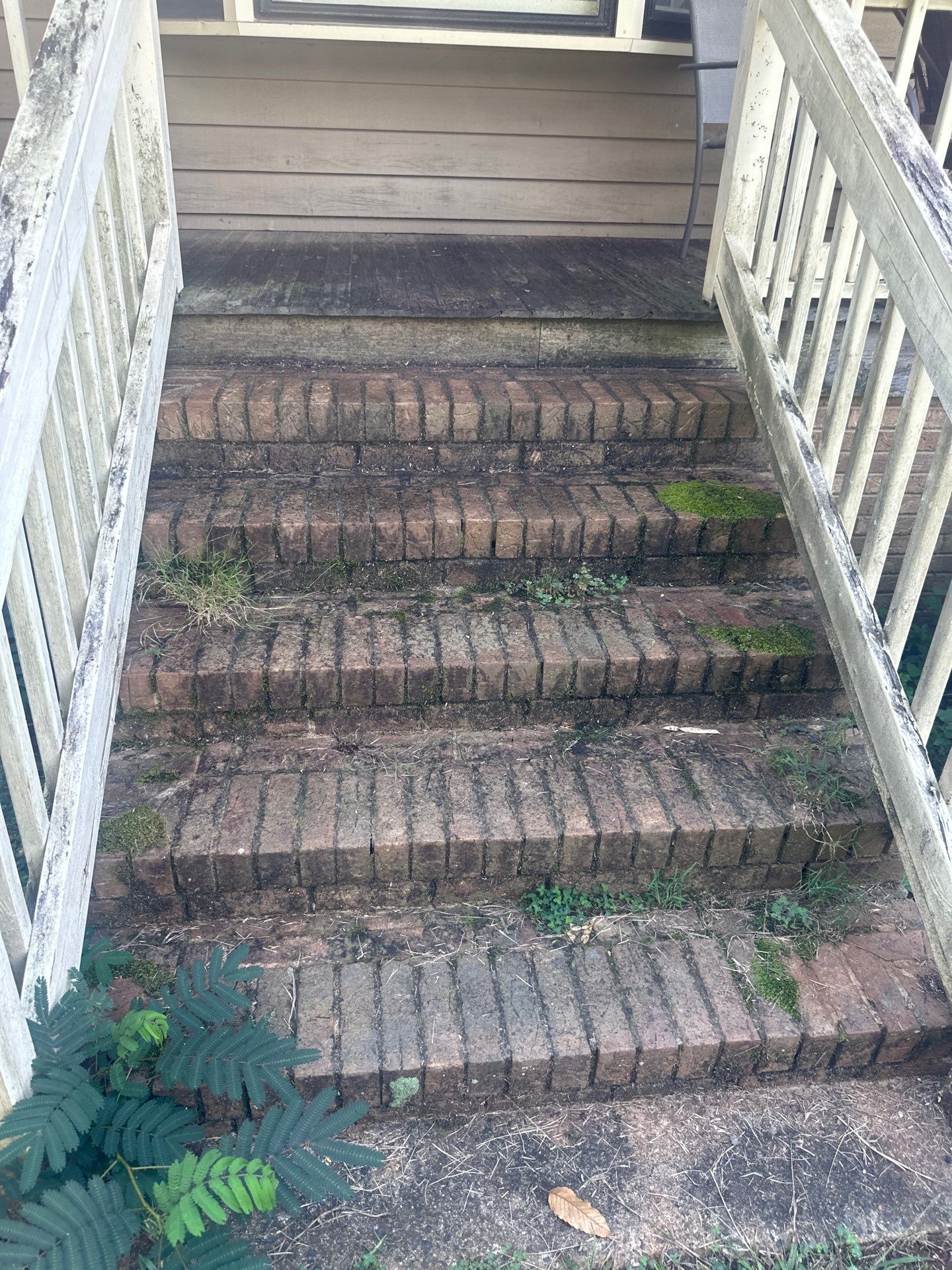 the service shown is cleaning moss and dirt from brick steps using pressure washing techniques for a refreshed appearance