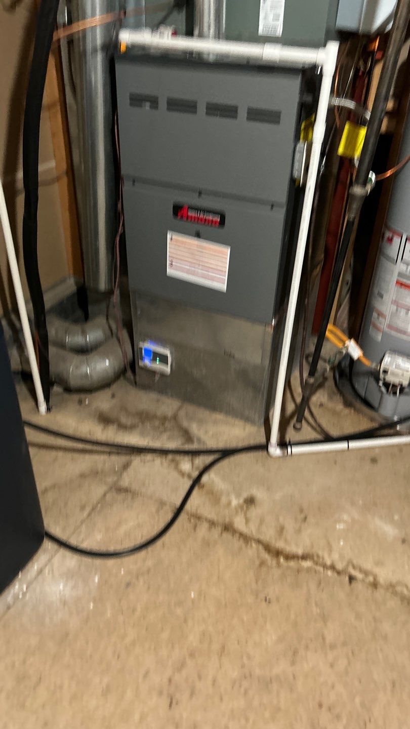 Mold Damage by Accountable Home Services