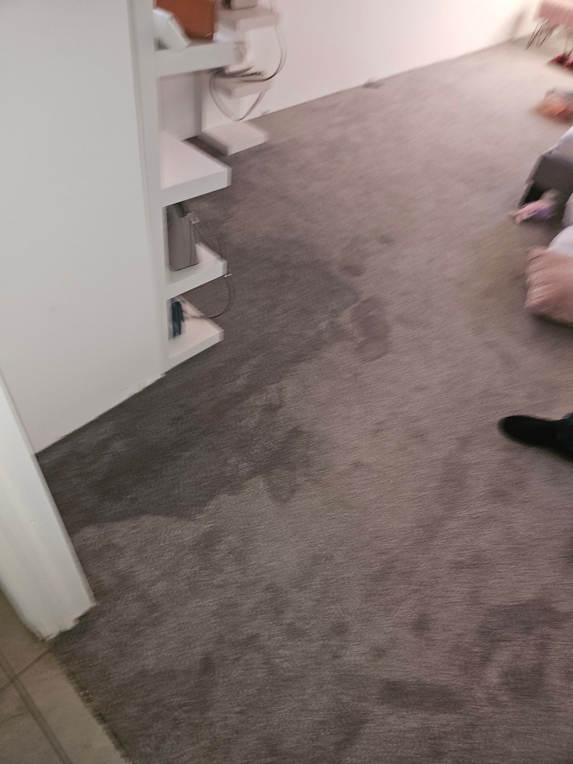 Project in Dearborn Heights by EzDry Water Mitigation & Property Restoration