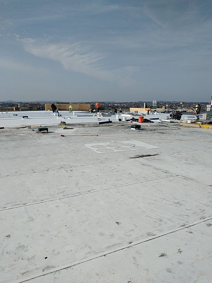 Bio-Life Commercial Roof Replacement using IB Systems PVC by Roof Experts