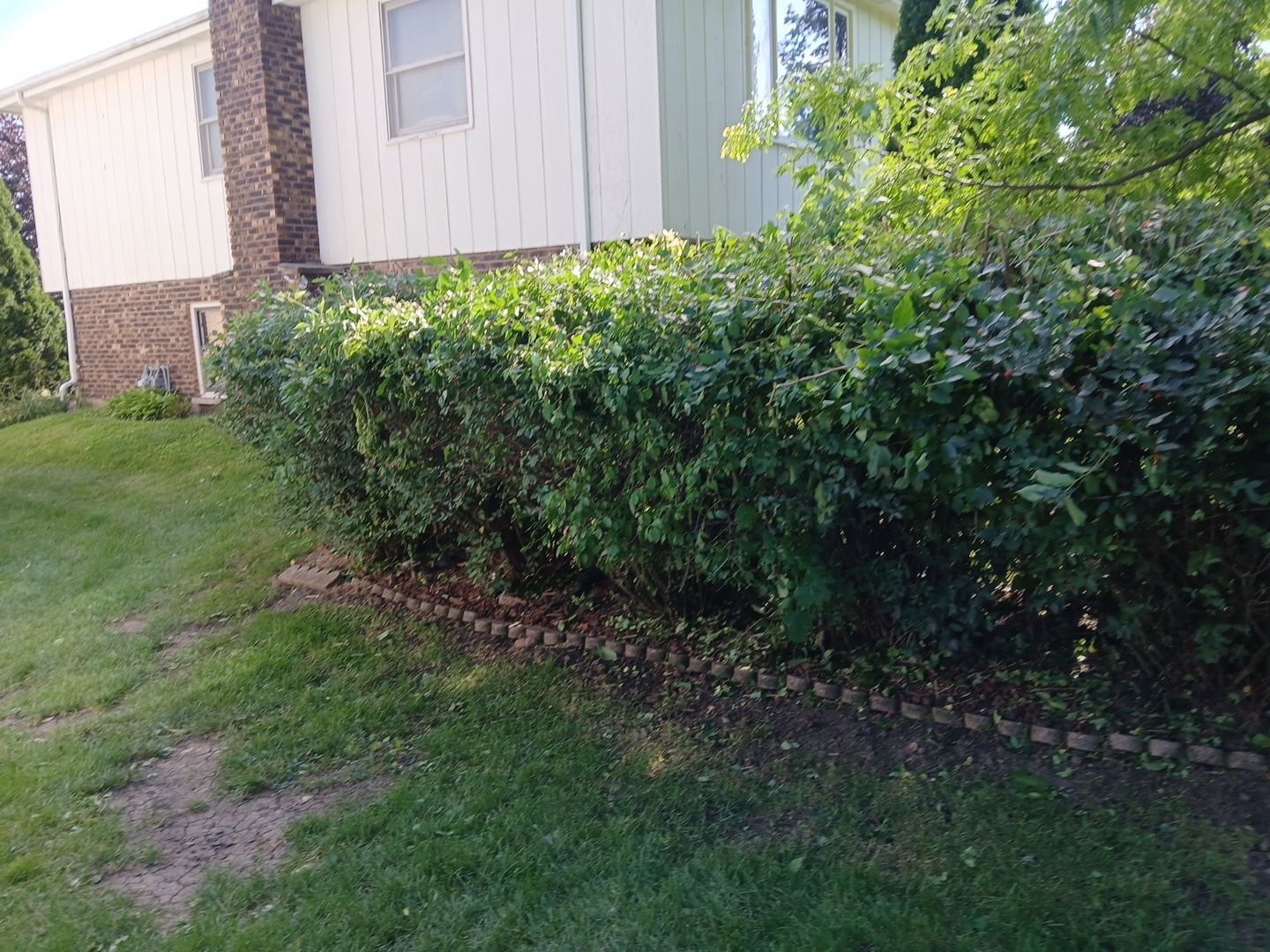 Andrew L. - Arlington Heights, IL by A&N