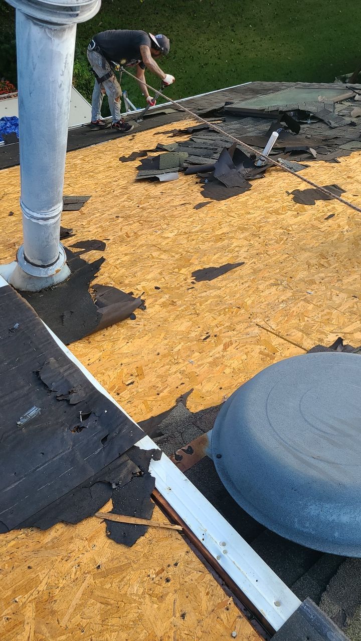 Dumfries: CertainTeed Landmark Pro Designer Shingles in Max Def Weathered Wood by RM Banning, Inc.