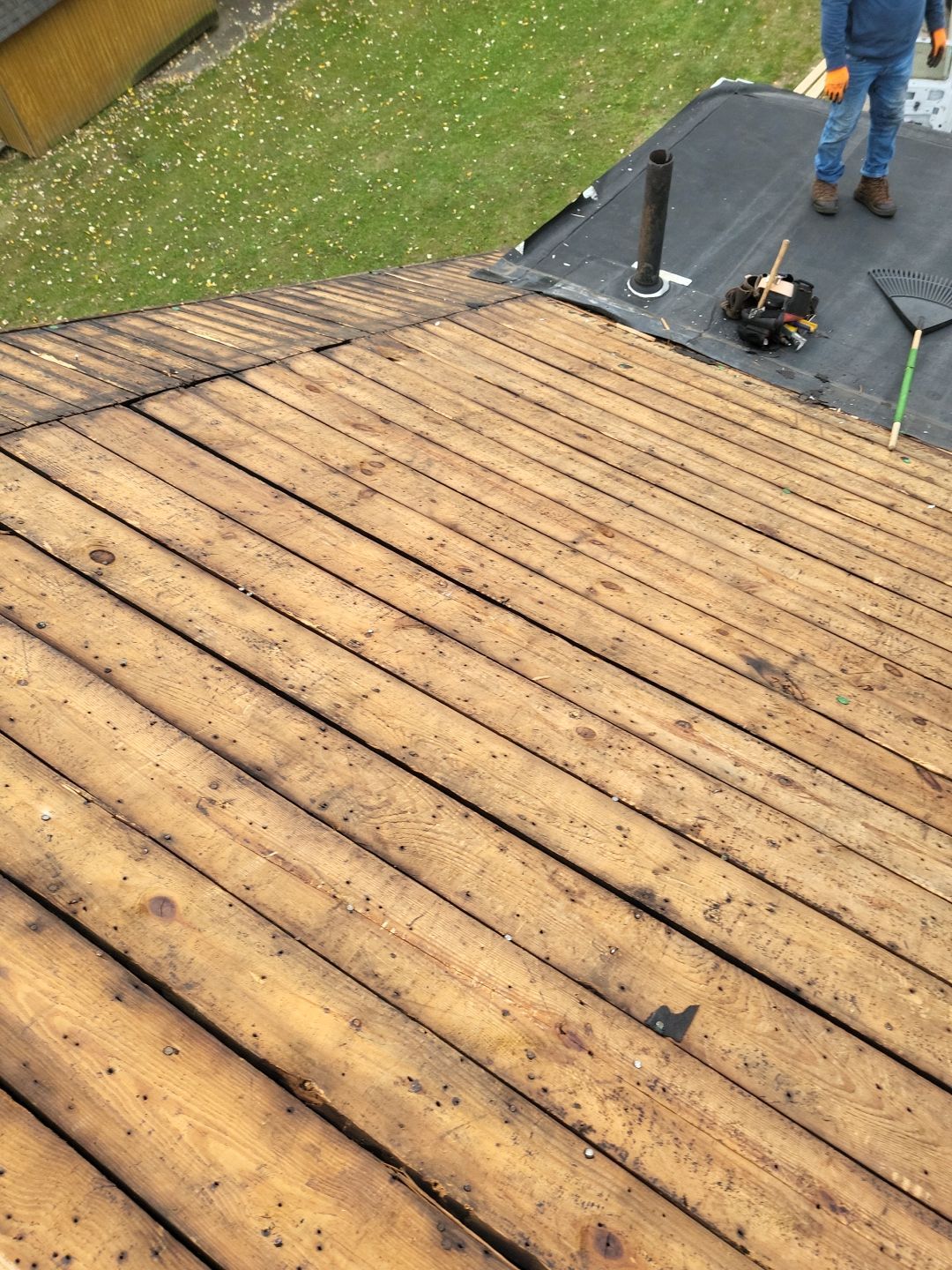 ATLAS PINNACLE COLOR: MORNING HARVEST DRIP EDGE: WHITE by Eagle Eye Roofing
