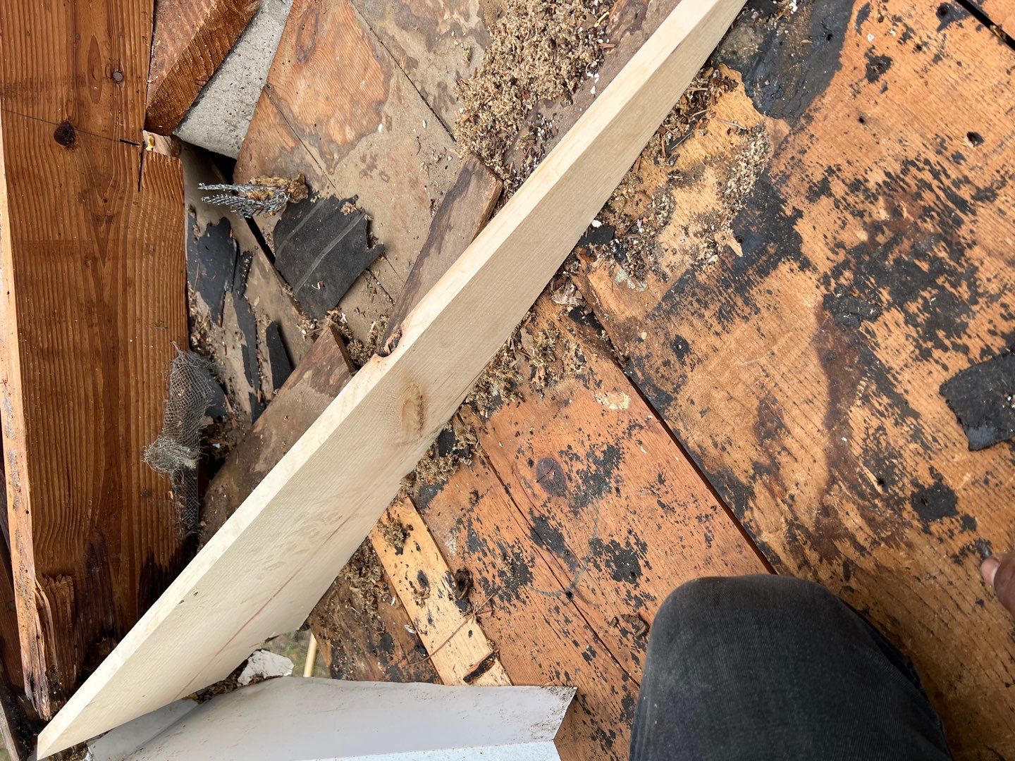 Project in St Pete 33712 by Mitchell Roofing Company LLC 