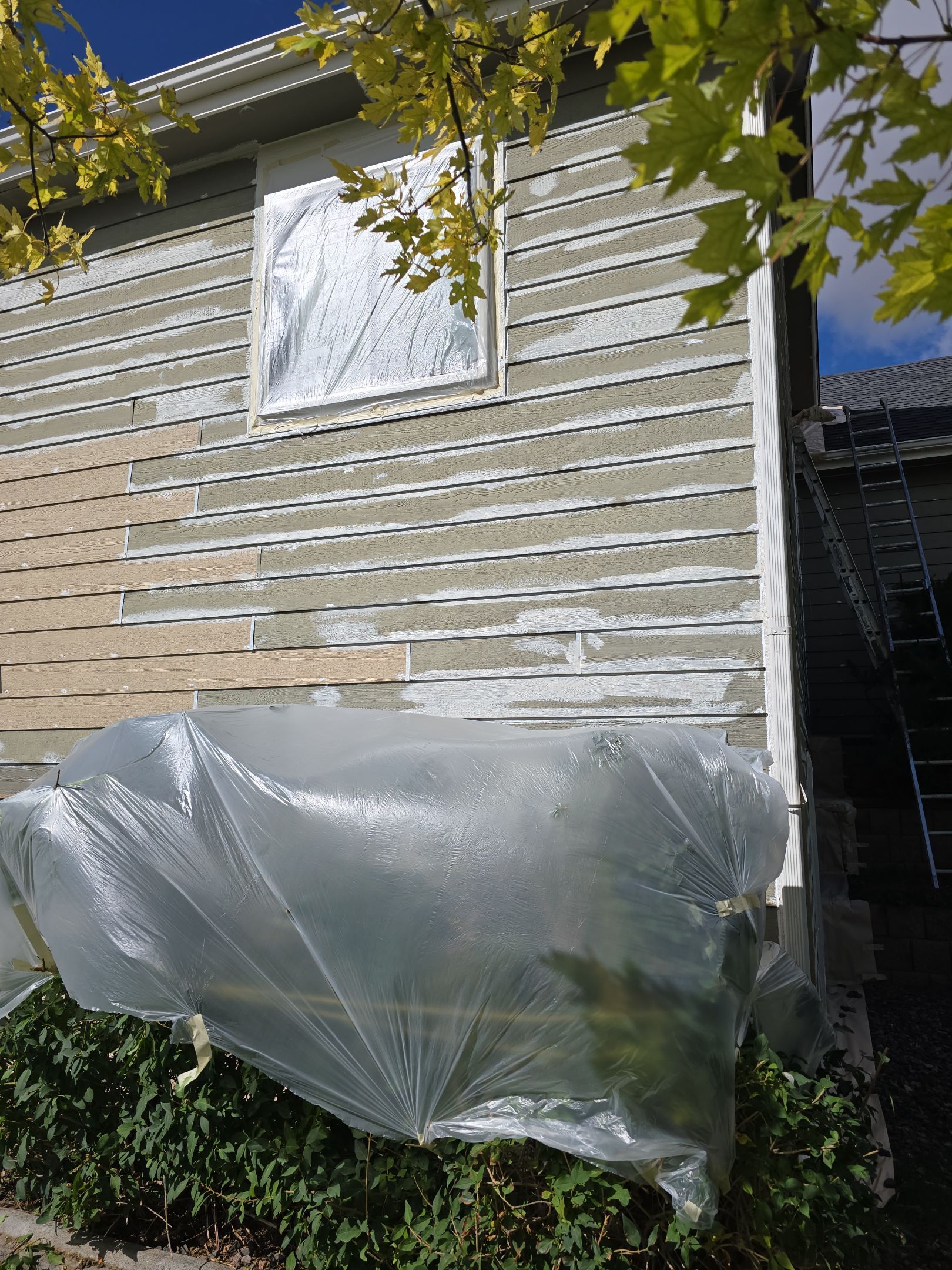 From Faded to Timeless: White & Black Exterior Renewal by J&M Painting LLC