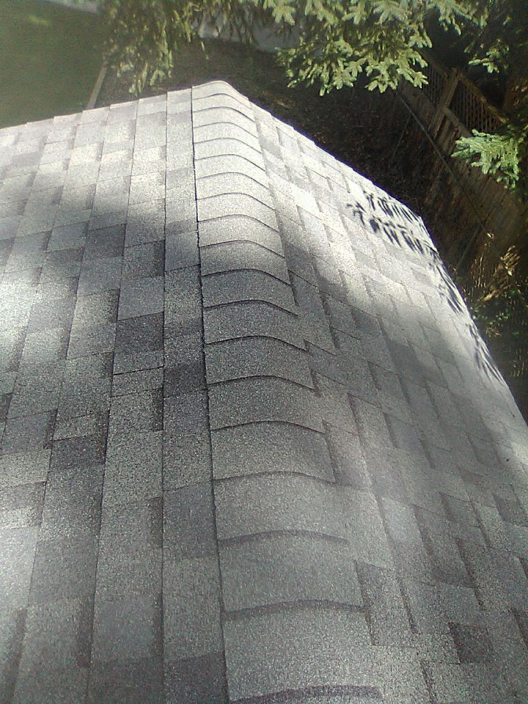 Doris Ries by Silver Leaf Contracting 