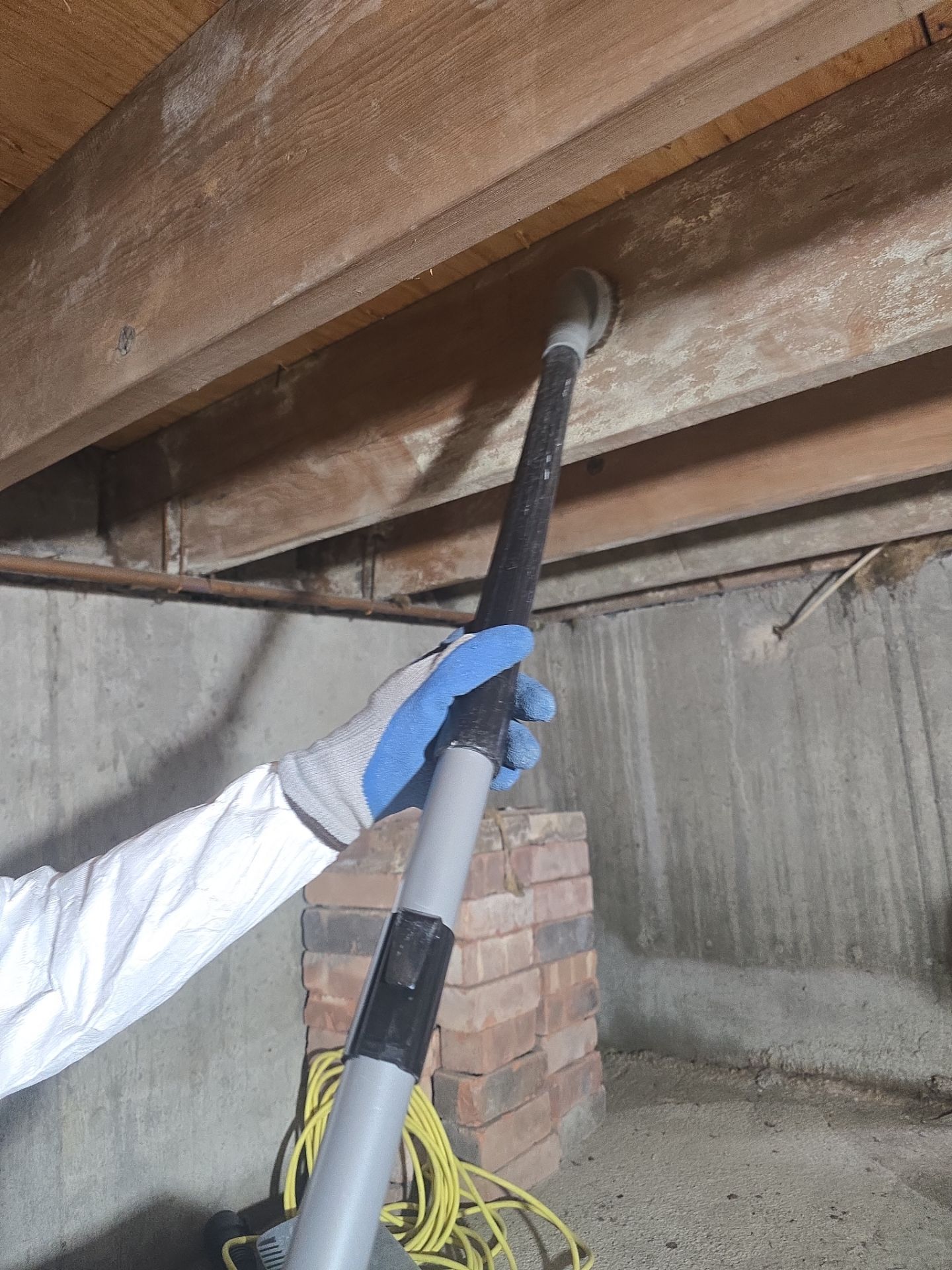 Crawlspace Water Mitigation and Structural Mold Remediation in Port Jefferson