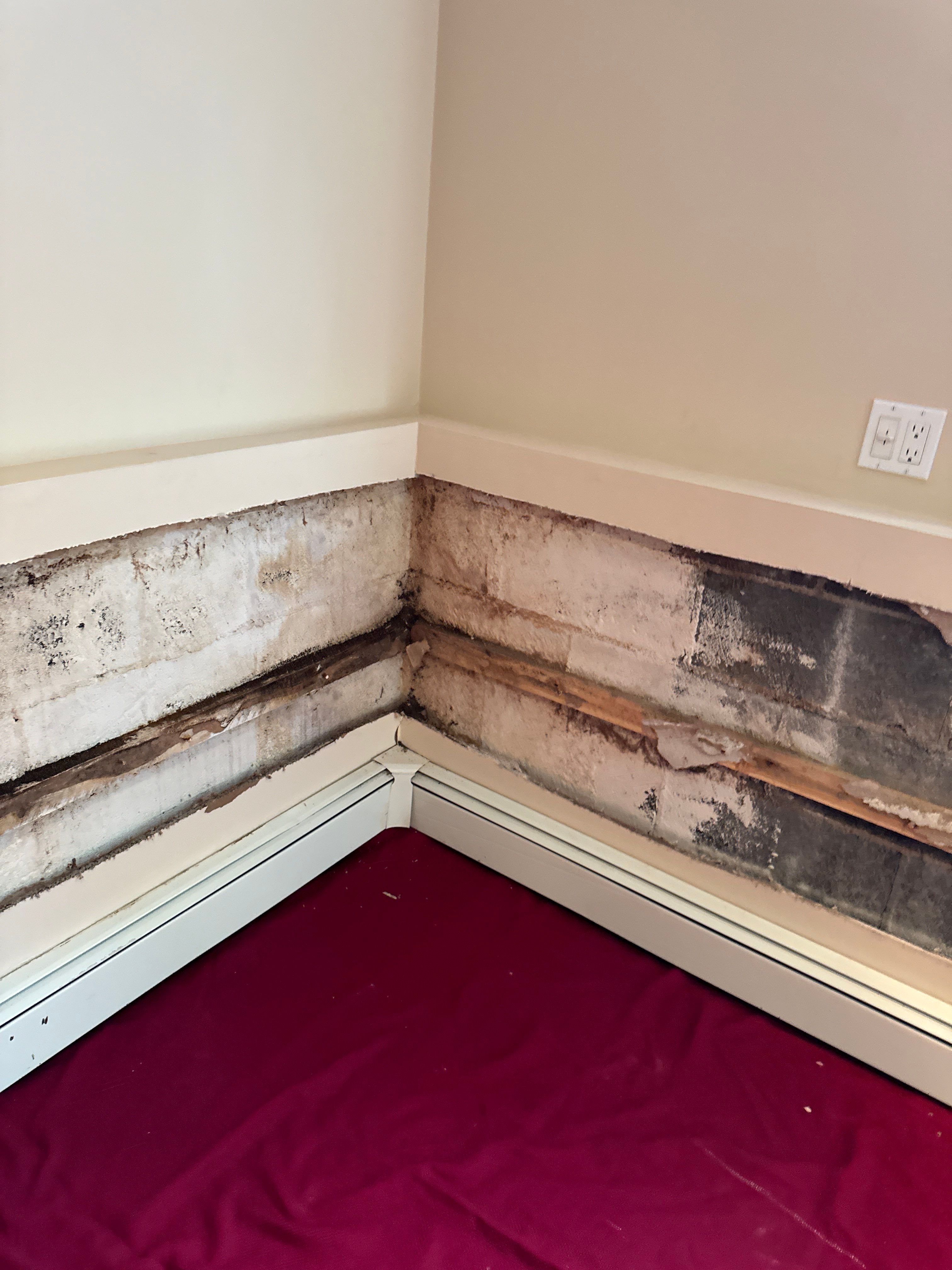 Basement Waterproofing Parsippany NJ by Pure Service Pro, LLC 